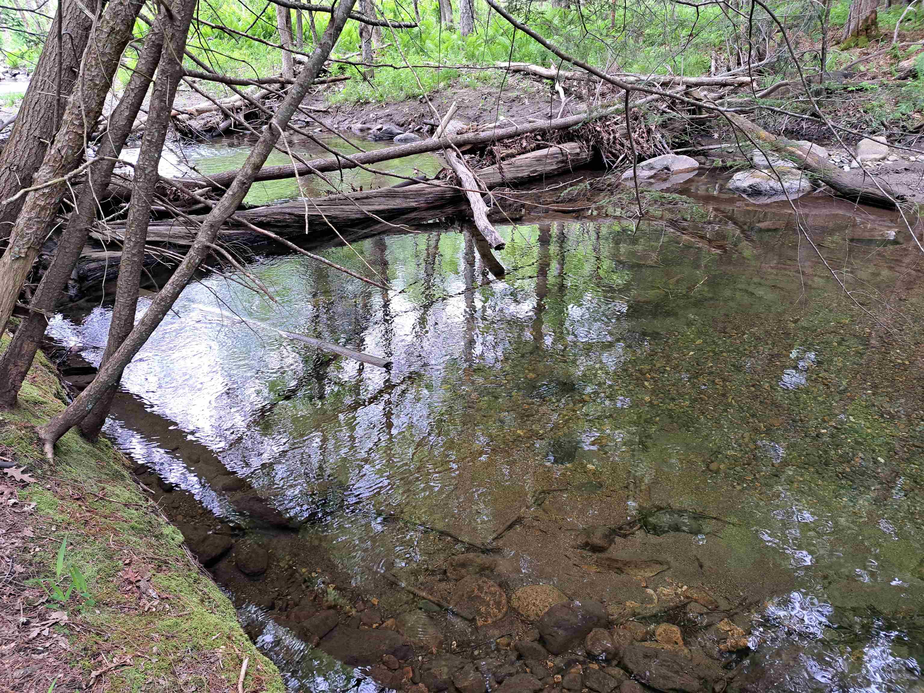 14 Route 120 , Plainfield, NH 03781