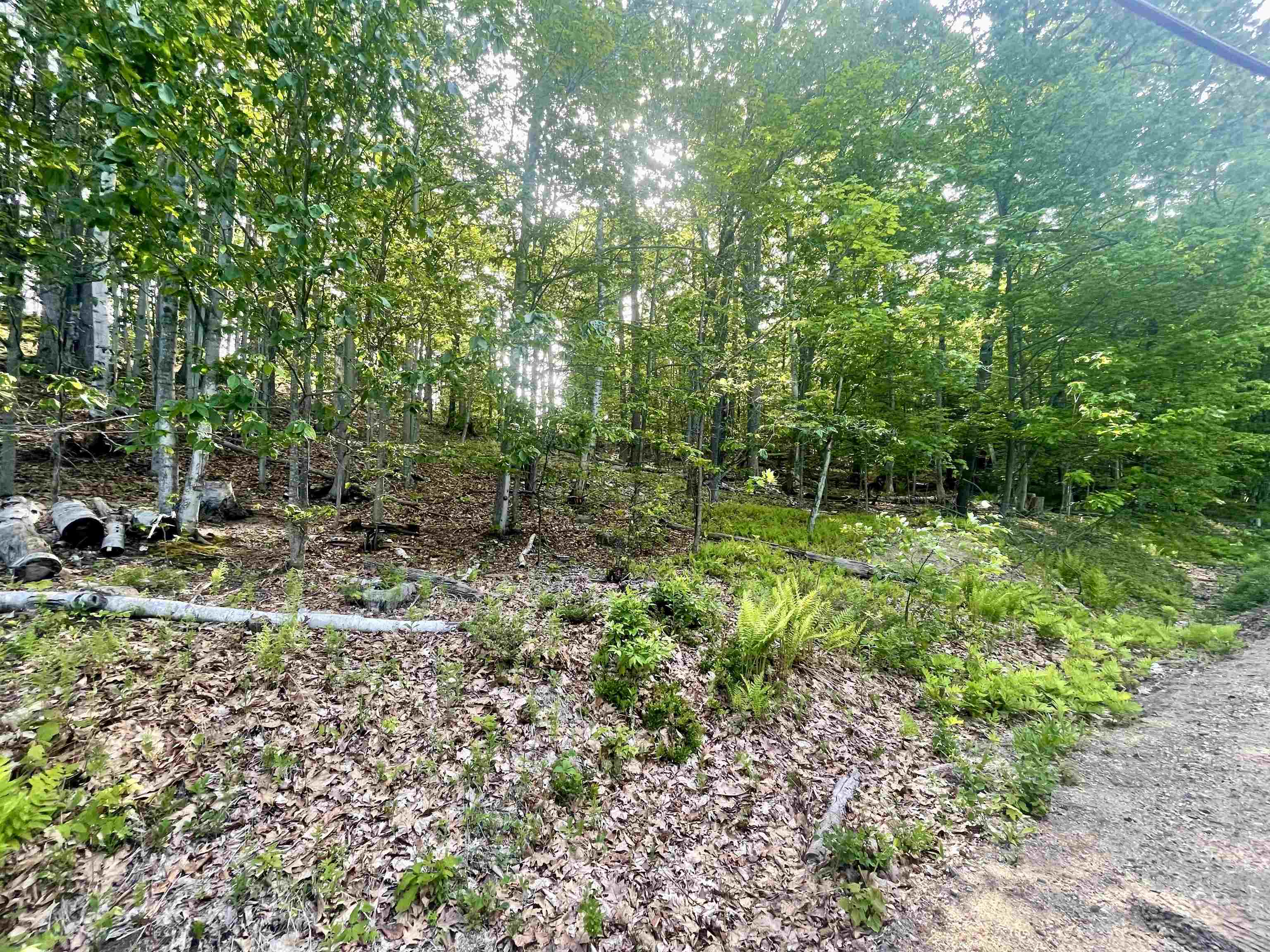 Photo from Catamount side