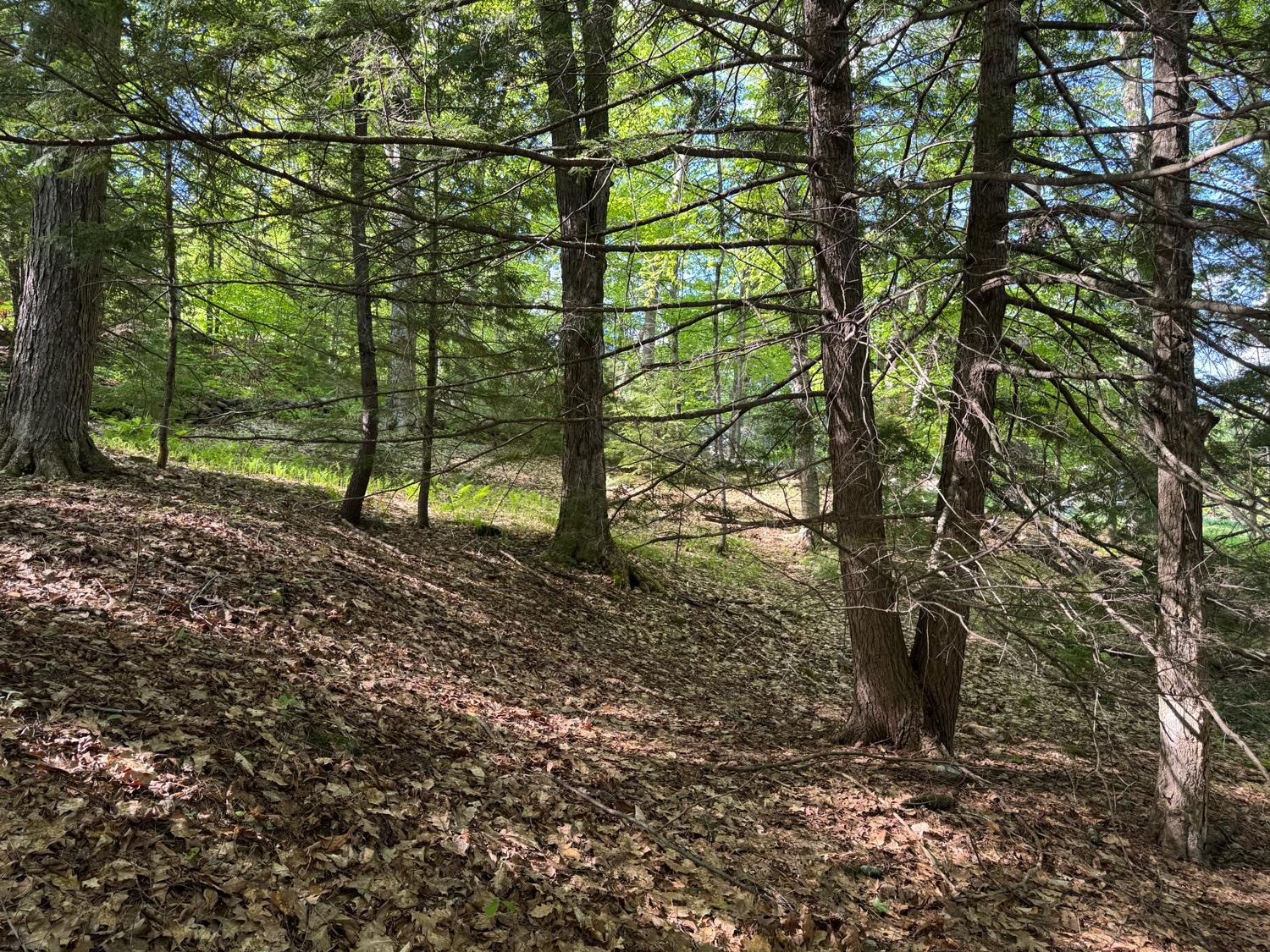 0 Peaked Hill Rd, Bristol, NH 03222