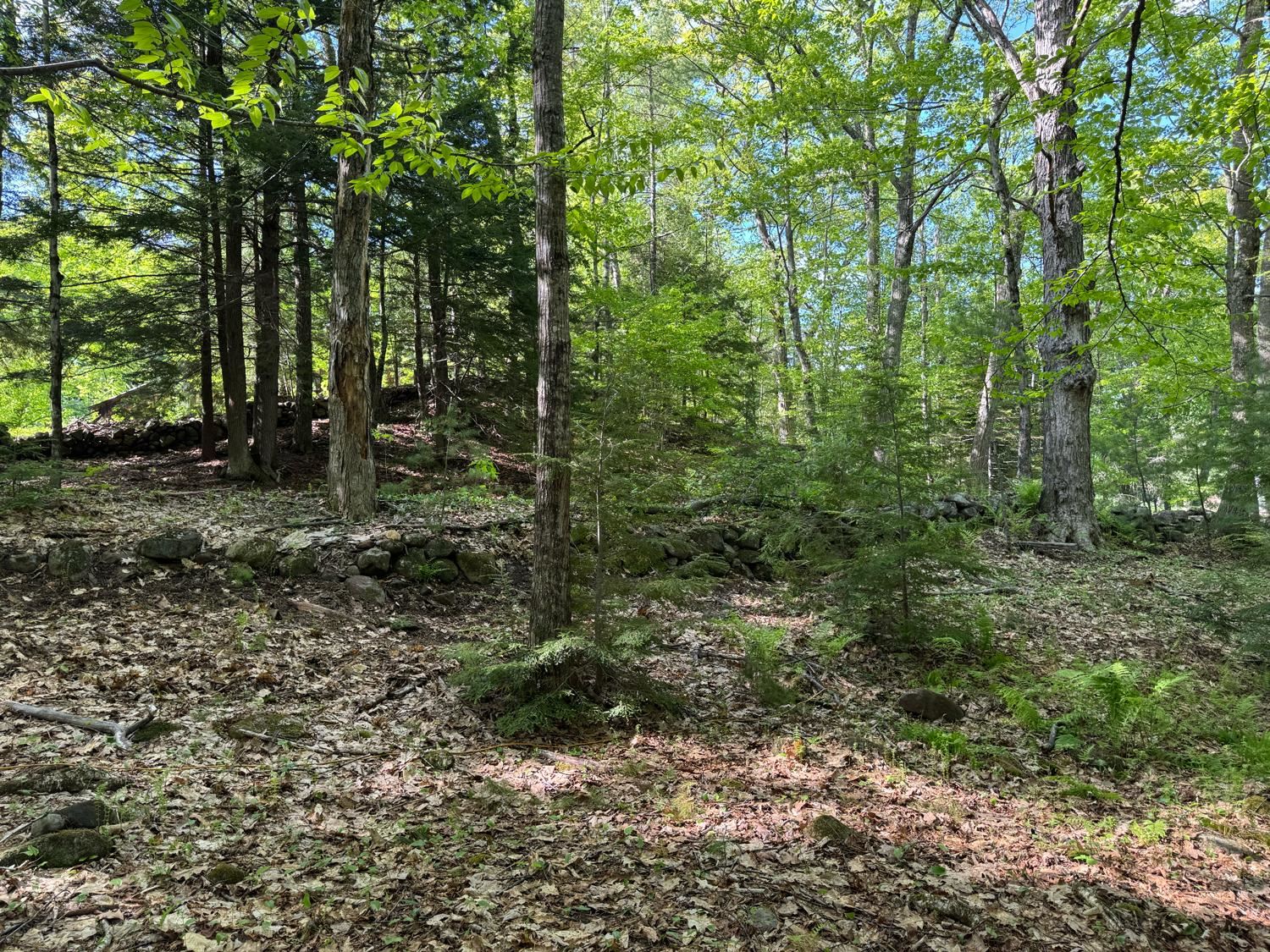 0 Peaked Hill Rd, Bristol, NH 03222