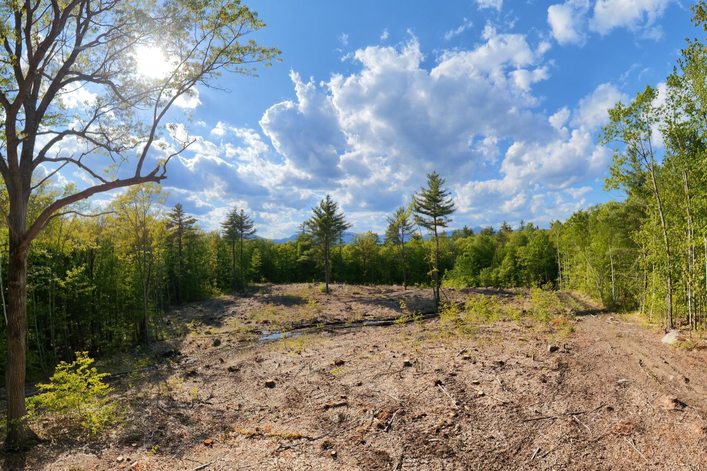 00 Taterboro Rd, Sandwich, NH 03227