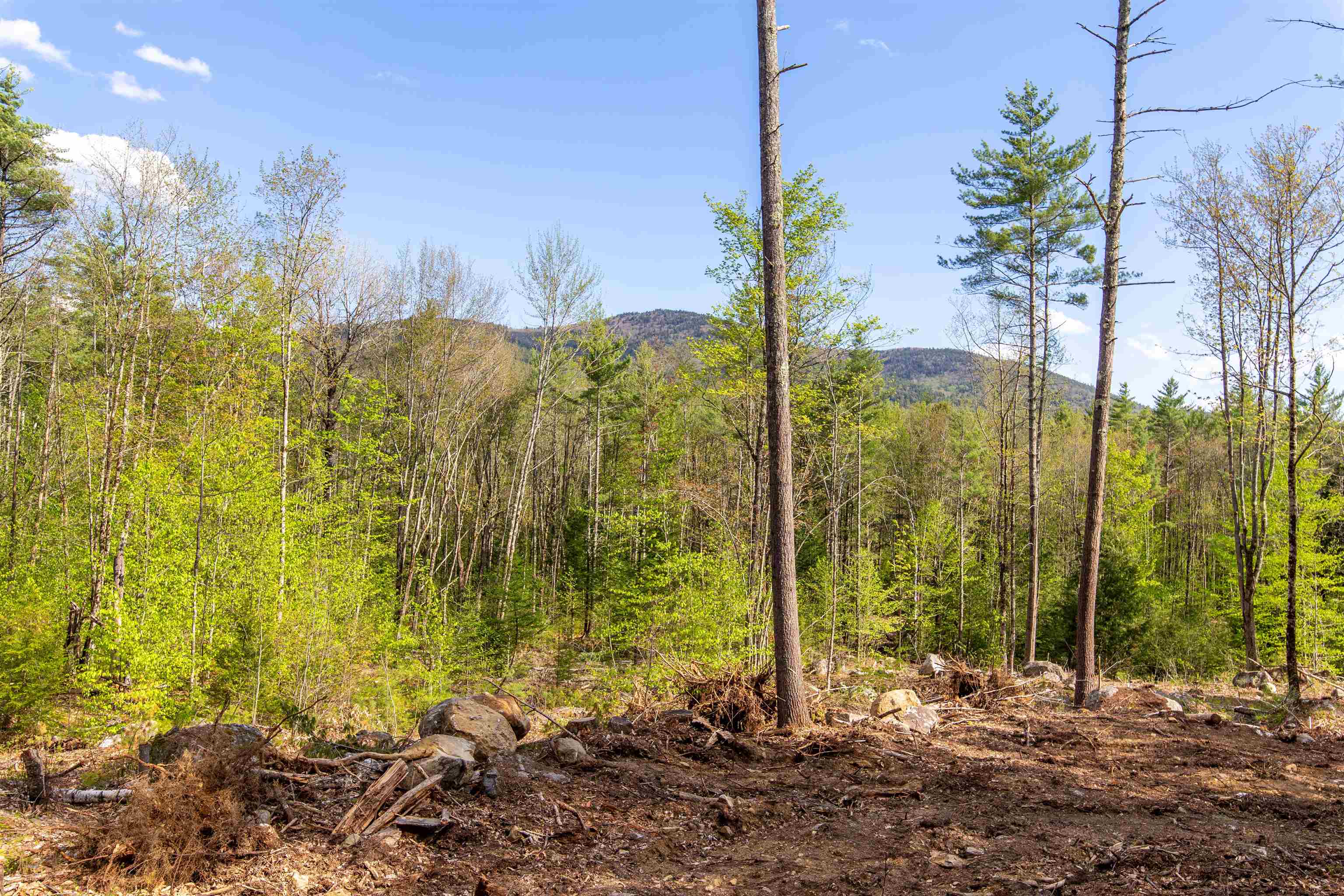 000 Elijah Beede Road — photo 1