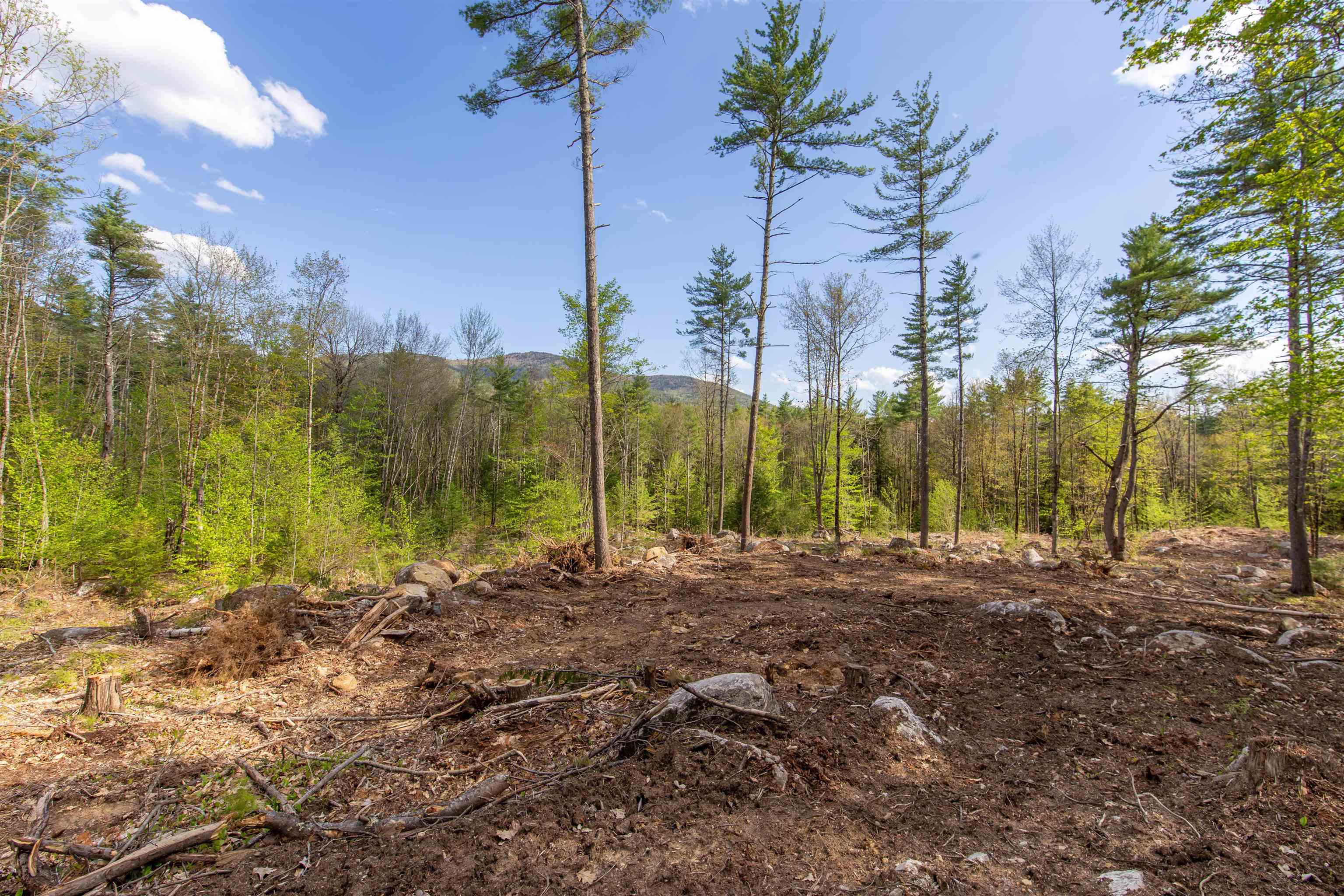 000 Elijah Beede Road — photo 2