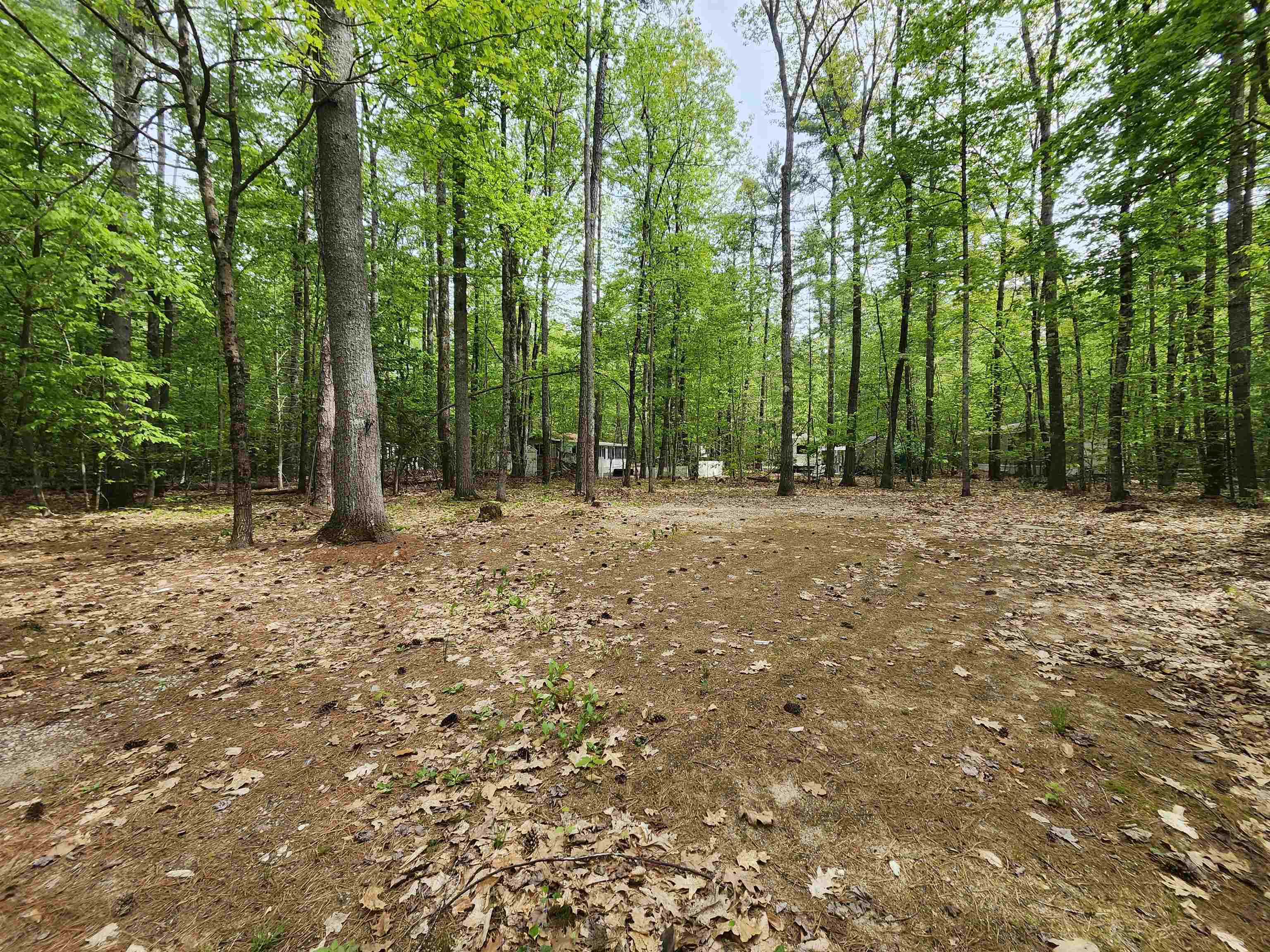 Lot 7 Pine Rd, Wakefield, NH 03830