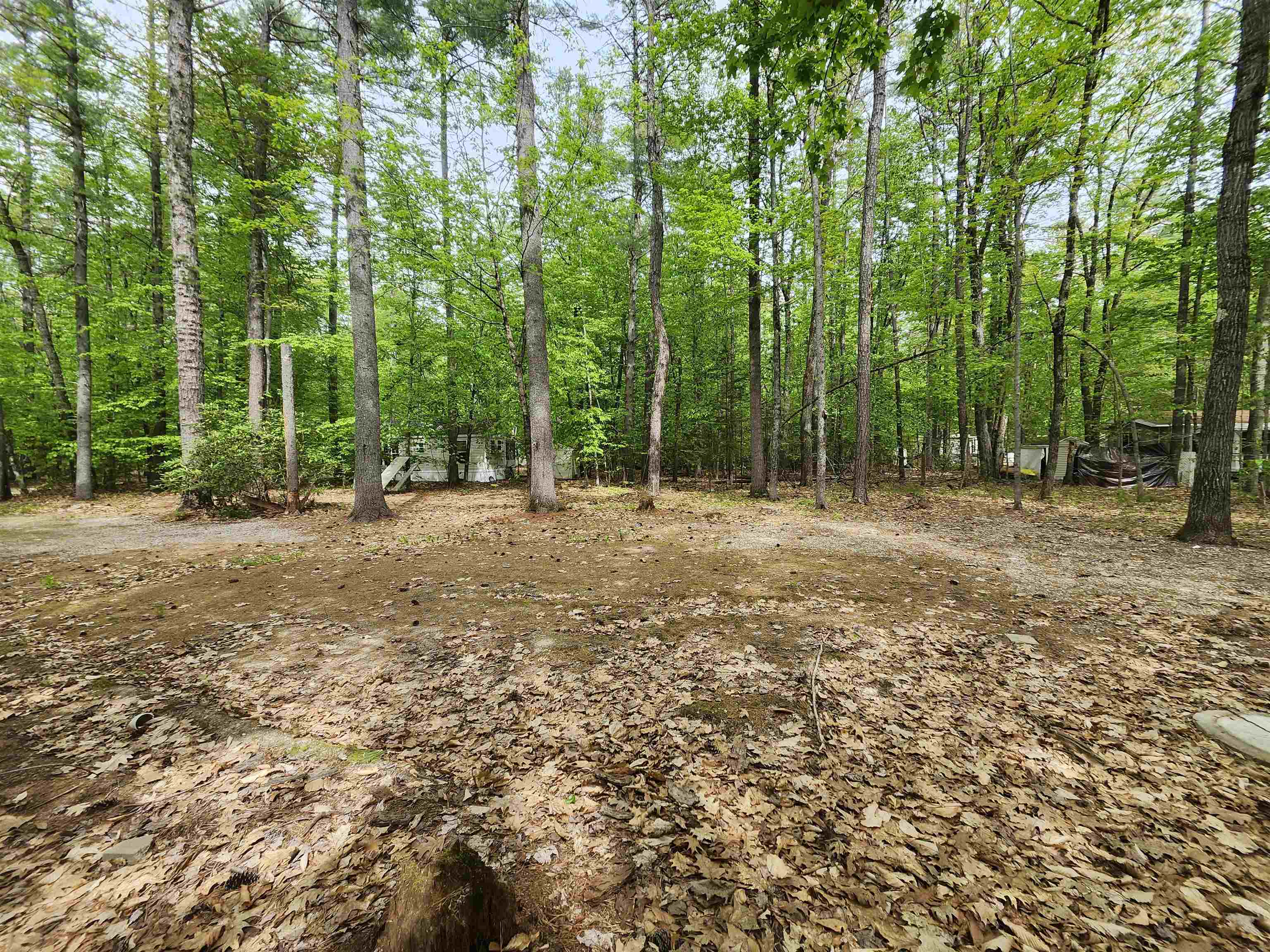 Lot 7 Pine Rd, Wakefield, NH 03830