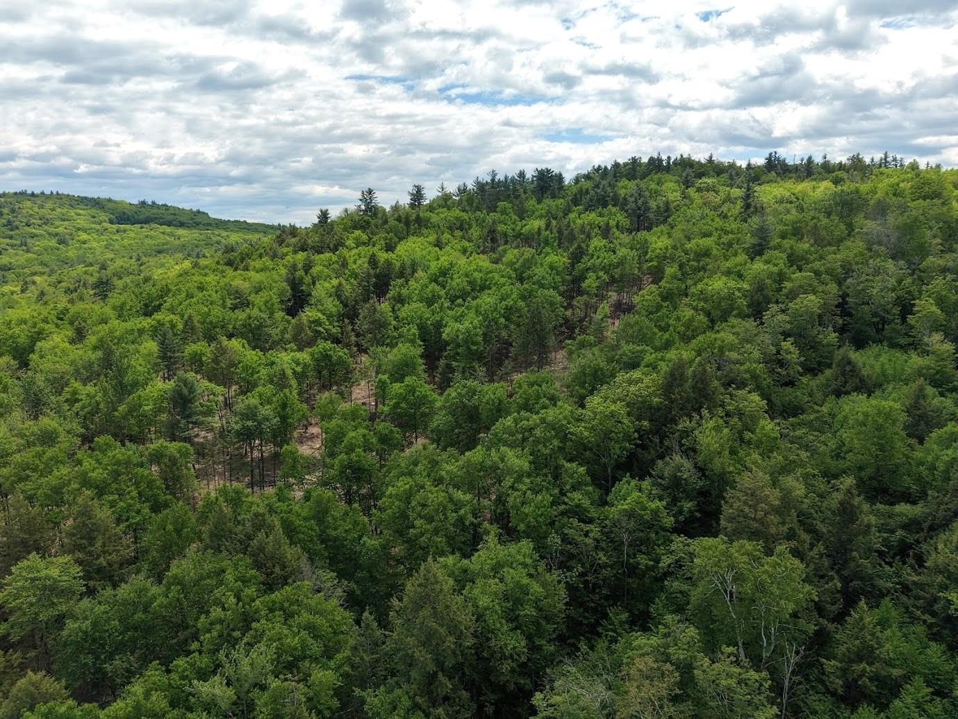 0 Hurricane Rd, Westmoreland, NH 03467