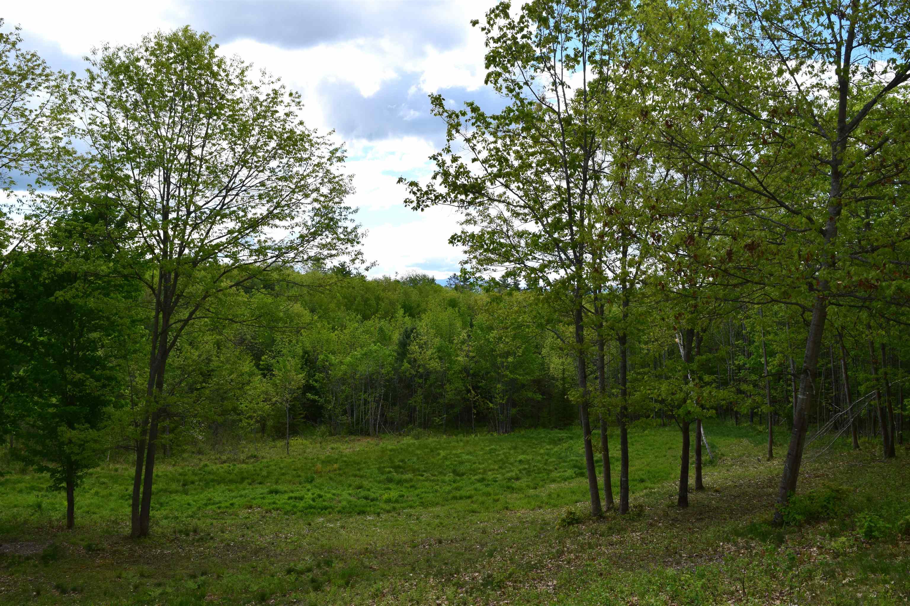 151 Moulton Hill Rd, Lyman, NH 03585