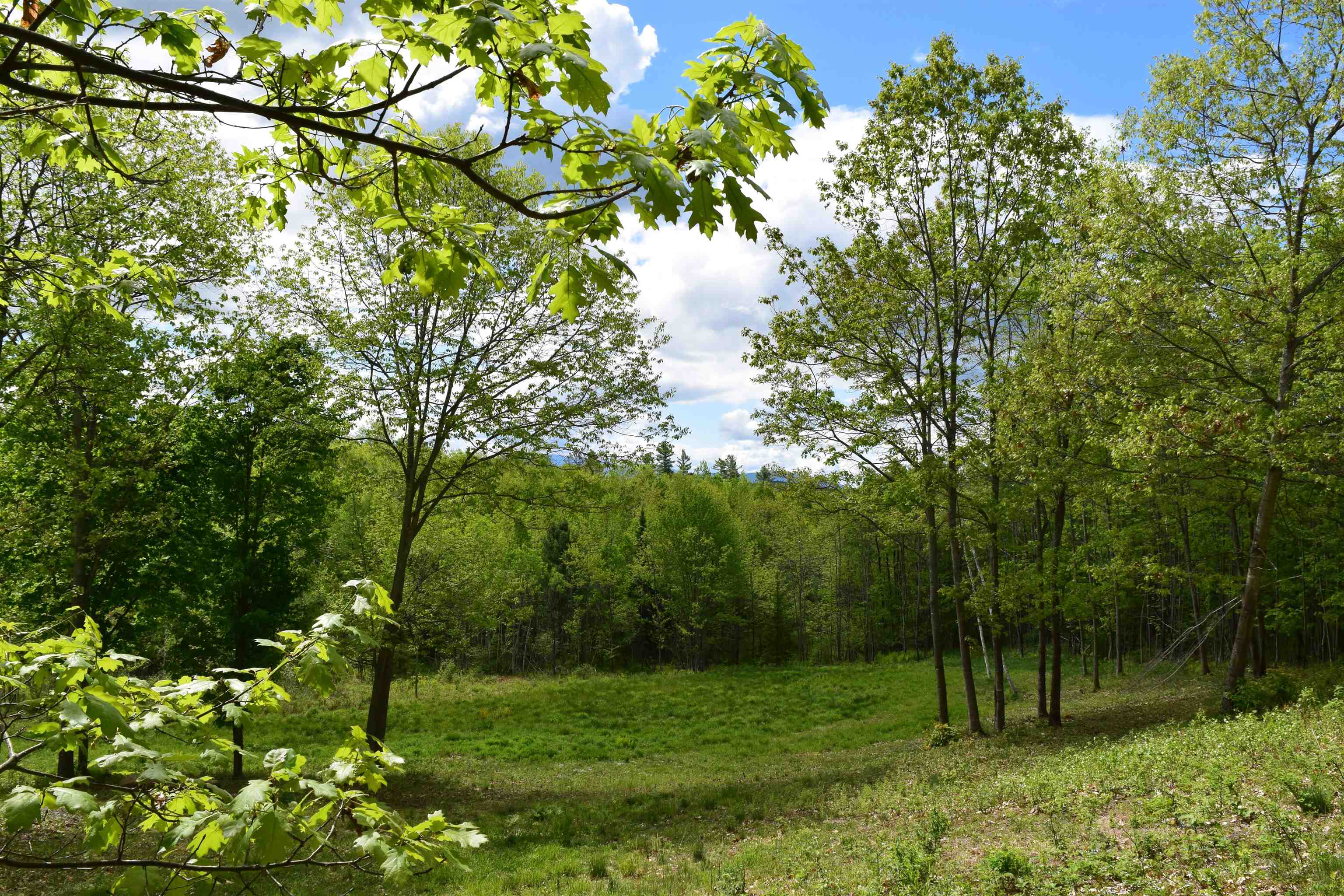 151 Moulton Hill Rd, Lyman, NH 03585