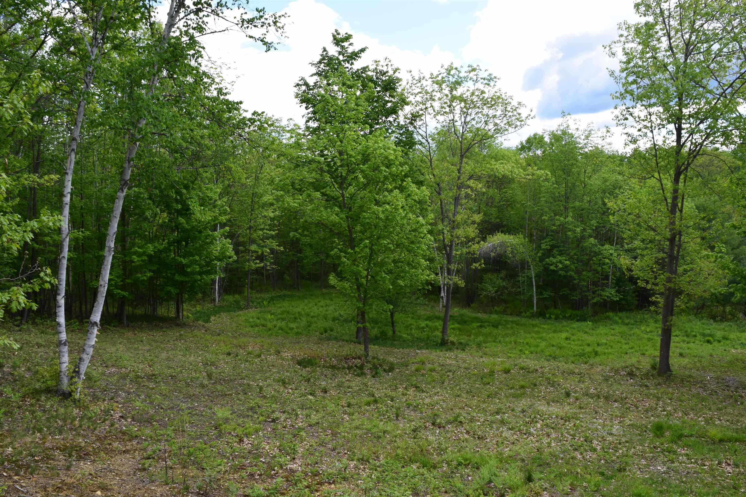 151 Moulton Hill Rd, Lyman, NH 03585