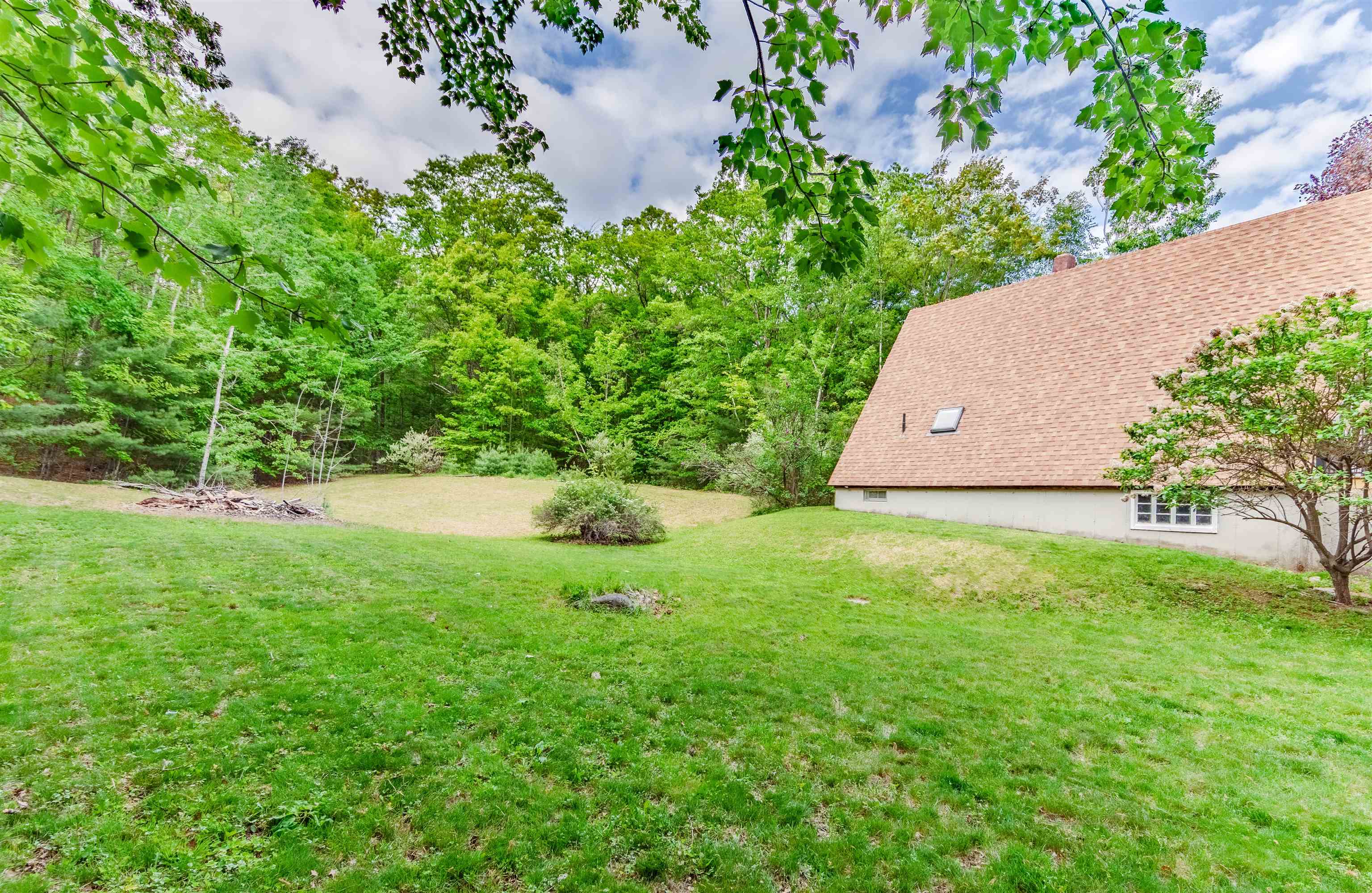 Wait until you see this yard!
