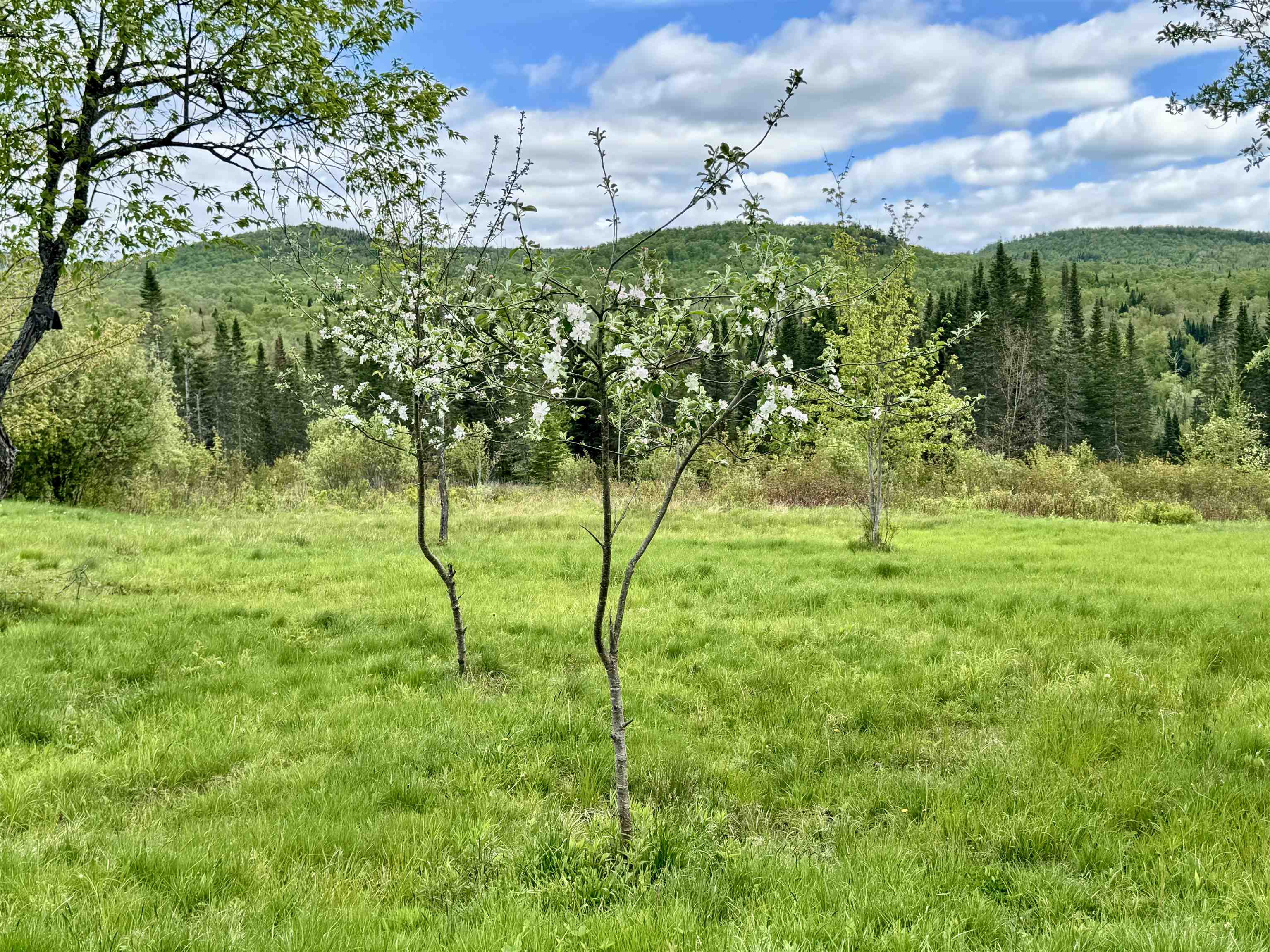 26 Ad Chase Rd, Pittsburg, NH 03597