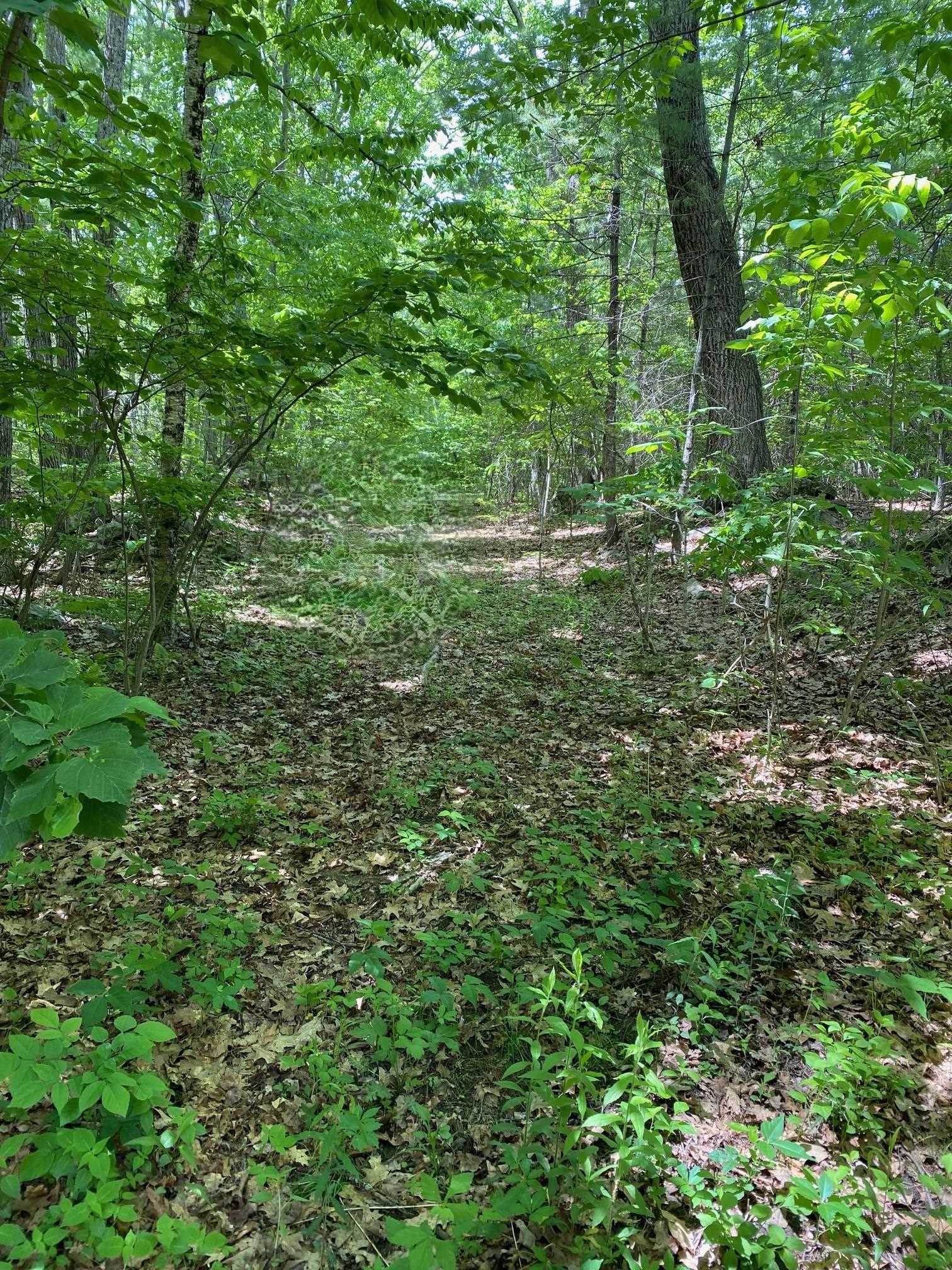 6 Johnny Hill Rd, Windham, NH 03087