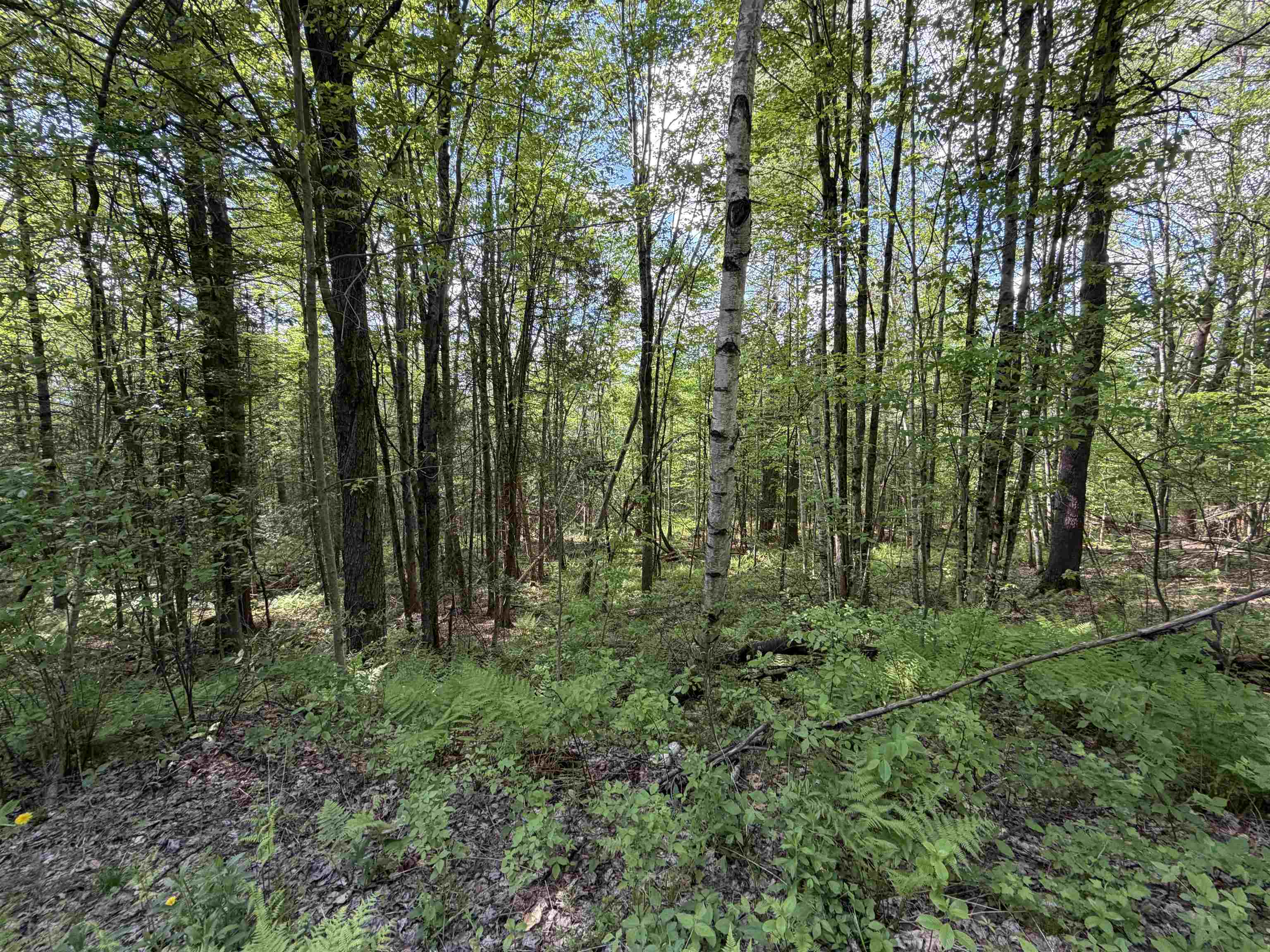 0 Walker Dr, Lancaster, NH 03584
