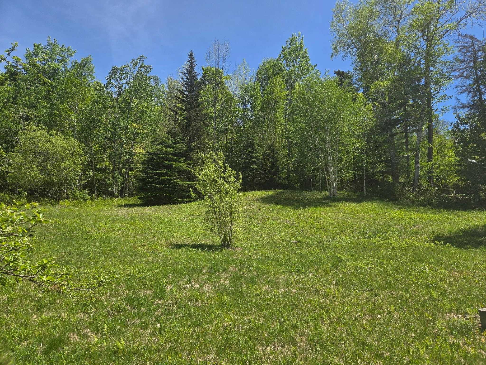 Homes for sale in Bridgewater, VT | 1440 Stevens Rd, Bridgewater, VT 05035 | MLS# 5092140