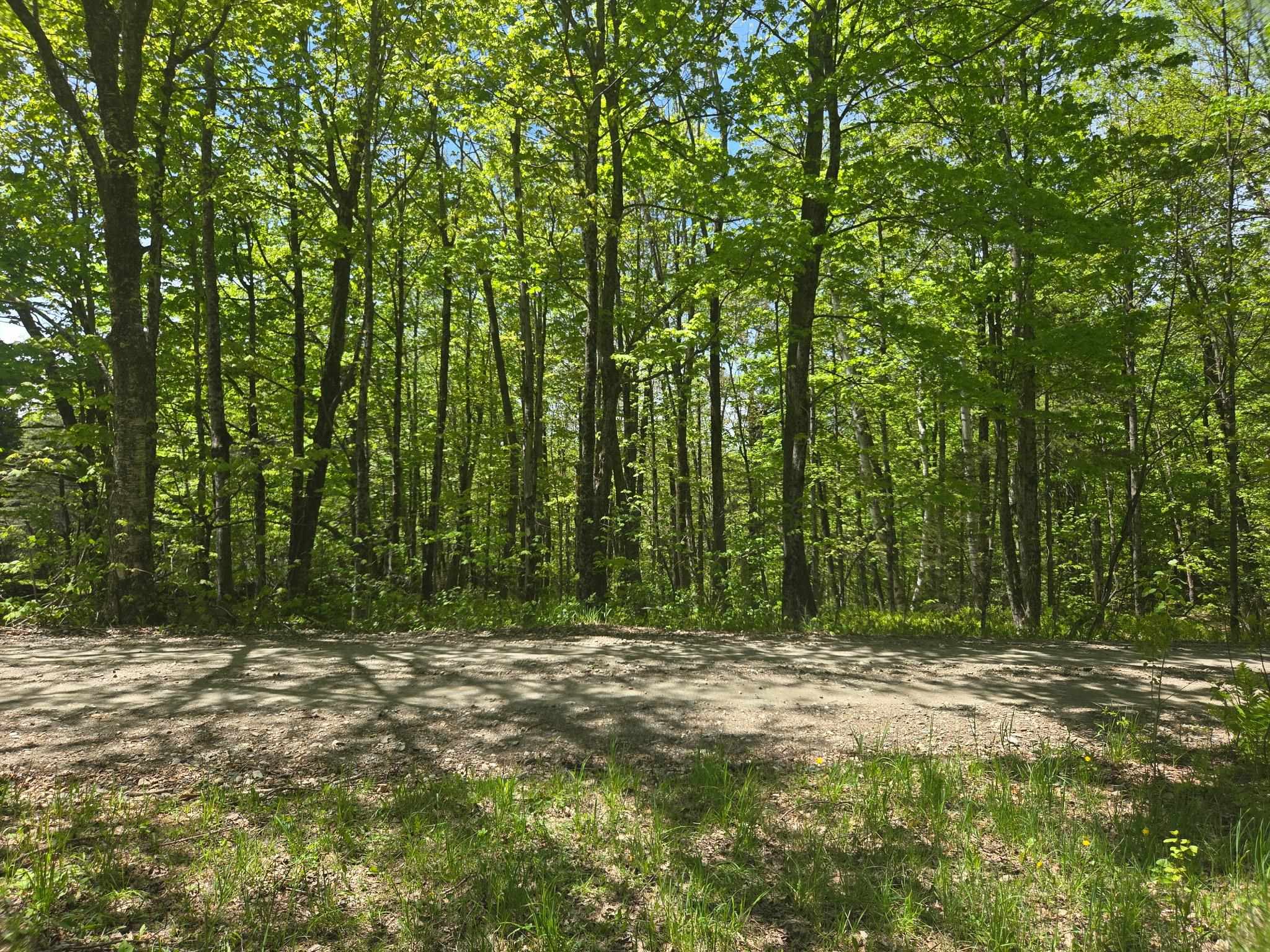 Homes for sale in Bridgewater, VT | 1440 Stevens Rd, Bridgewater, VT 05035 | MLS# 5092140
