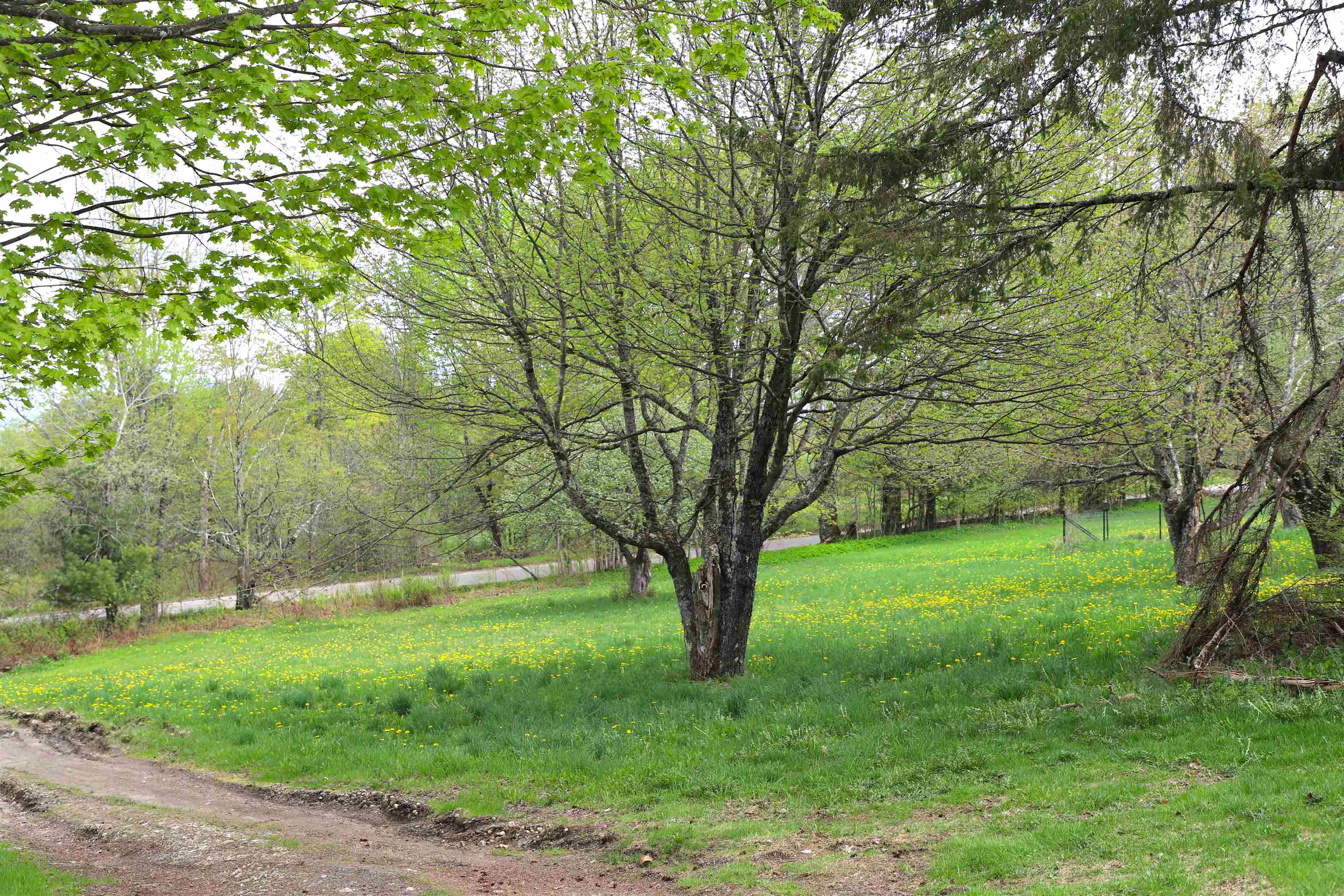 1760 Wheelock Rd, Sutton, VT 05867