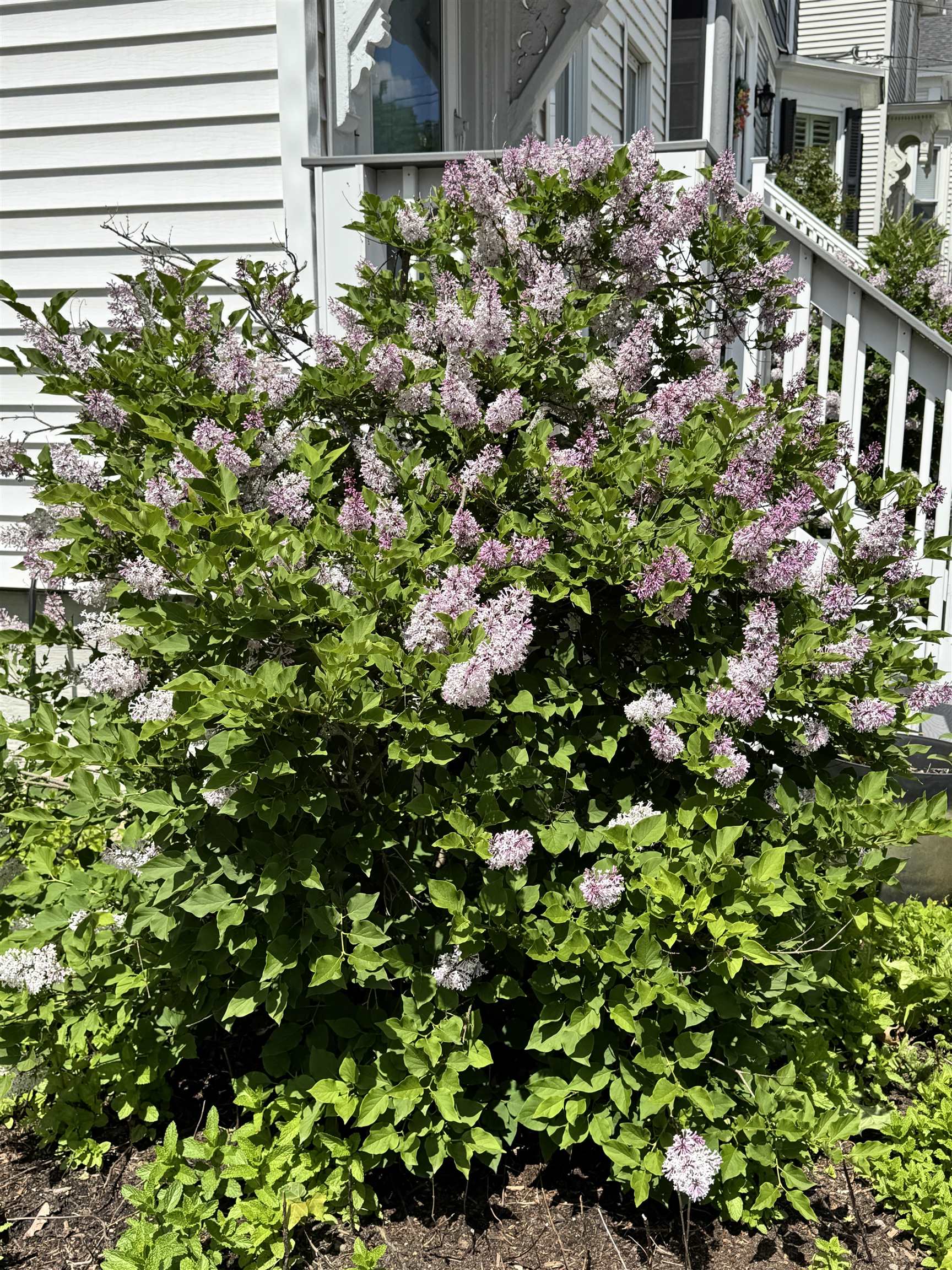 90 Centre St, Concord, NH 03301