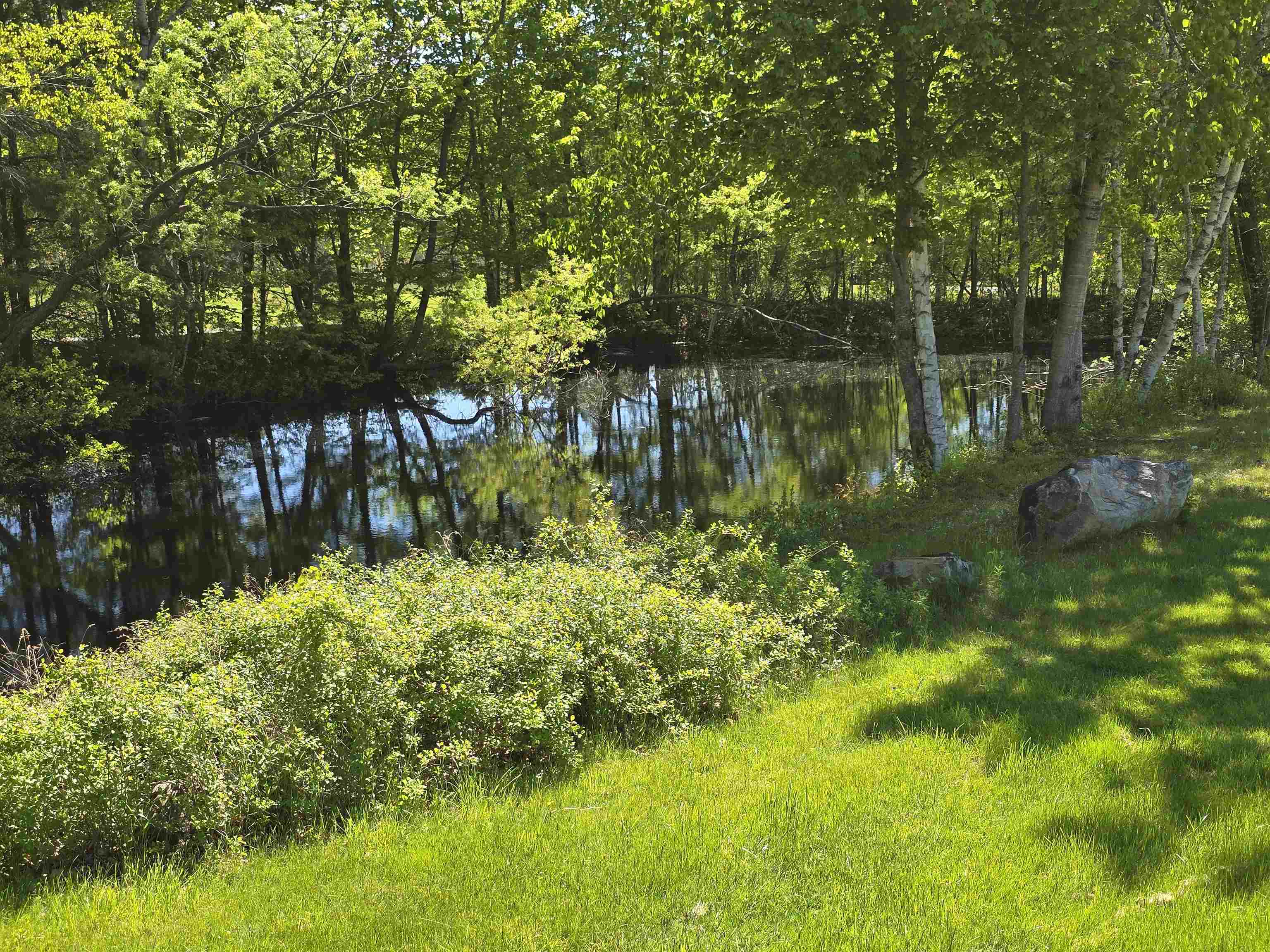 small frog/turtle pond