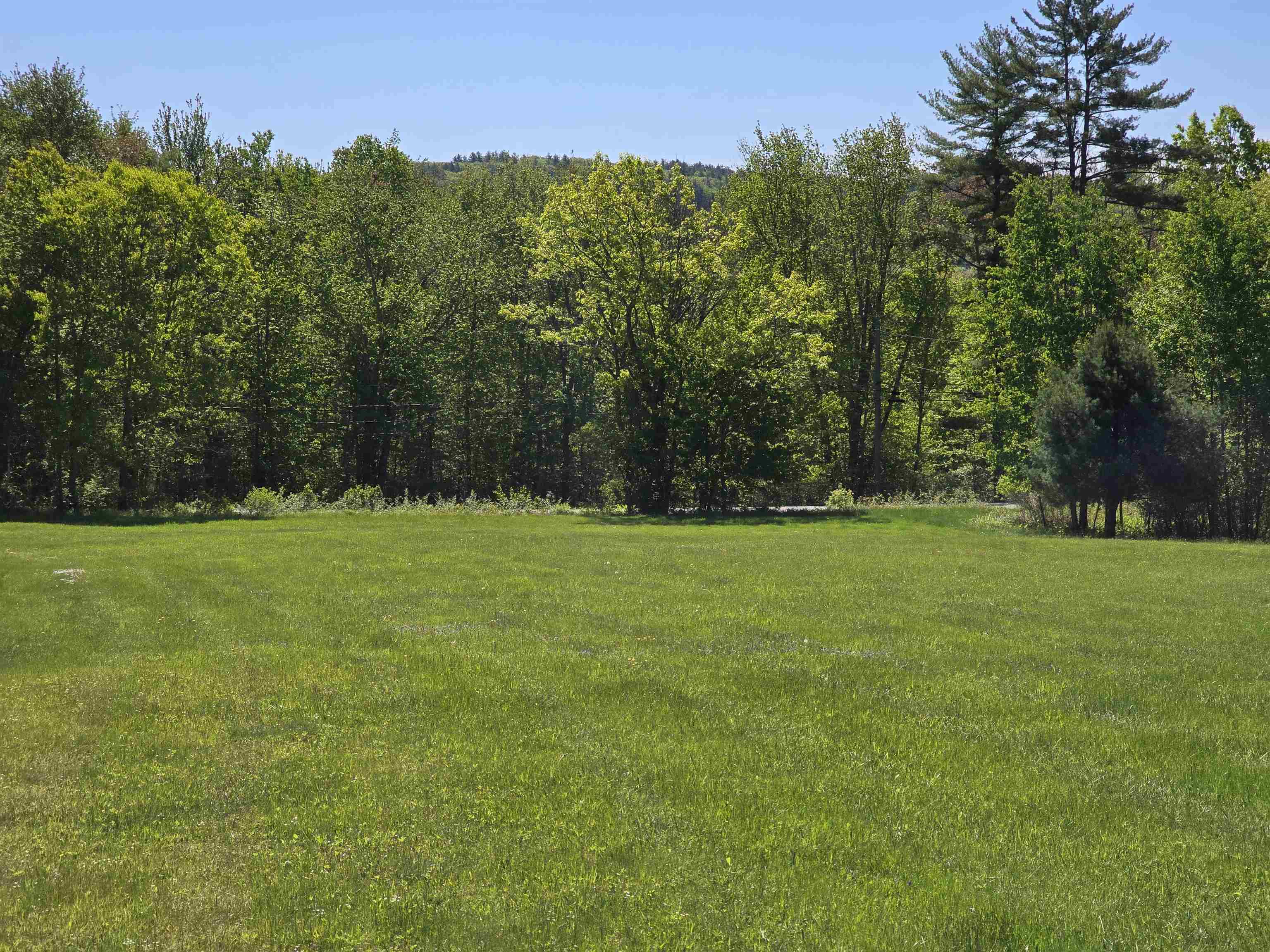 large fields
