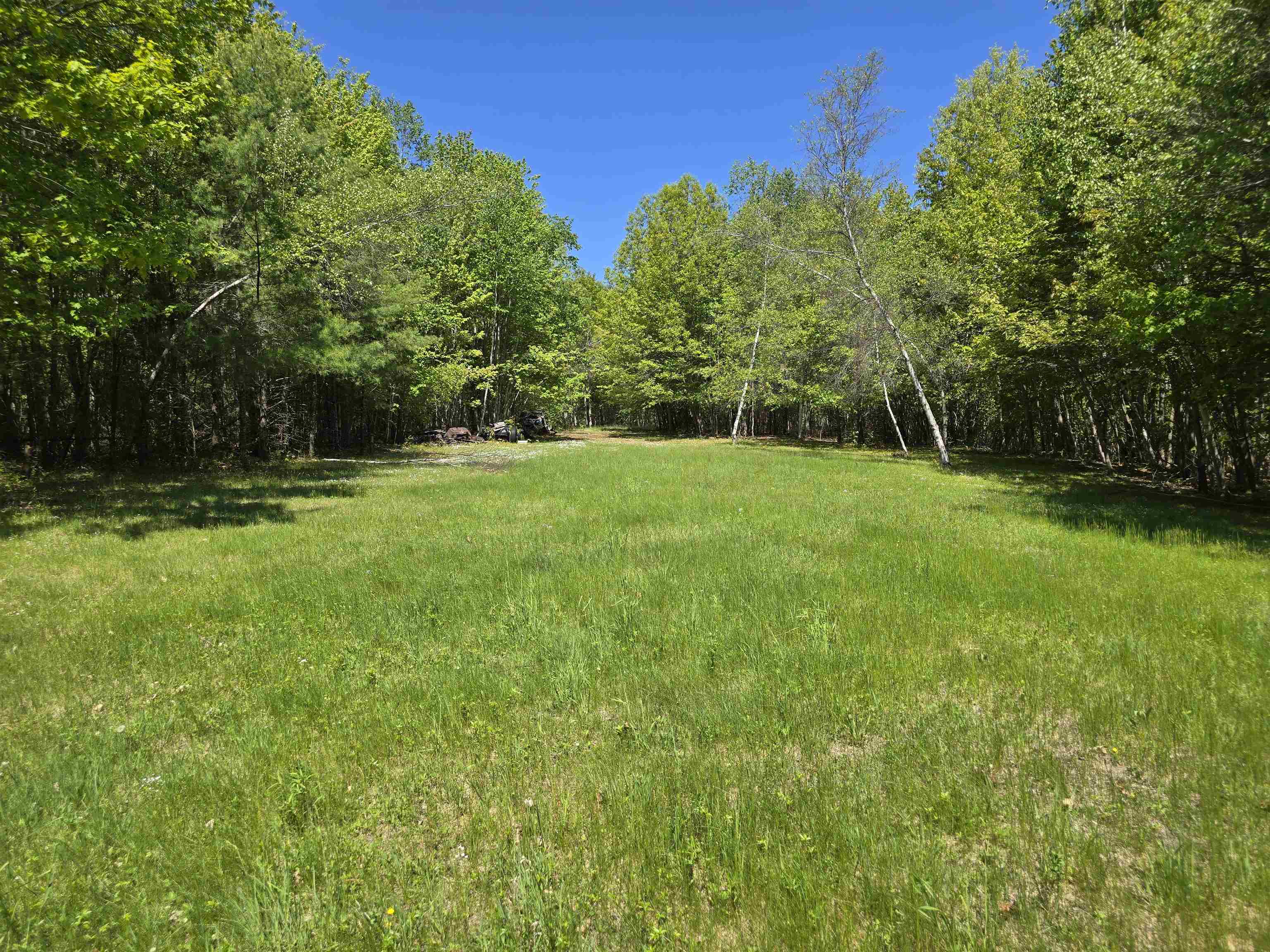 back field