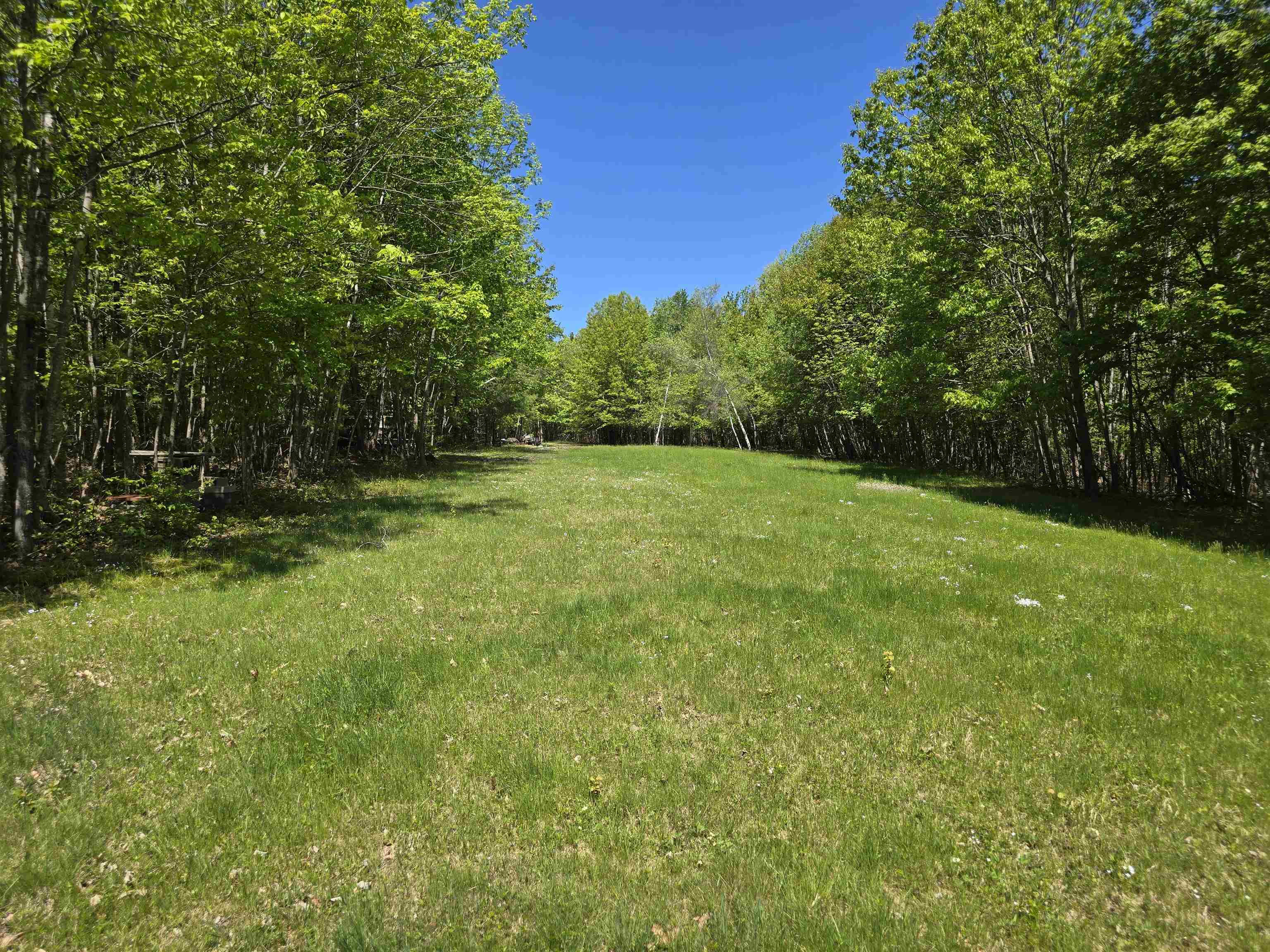 back field