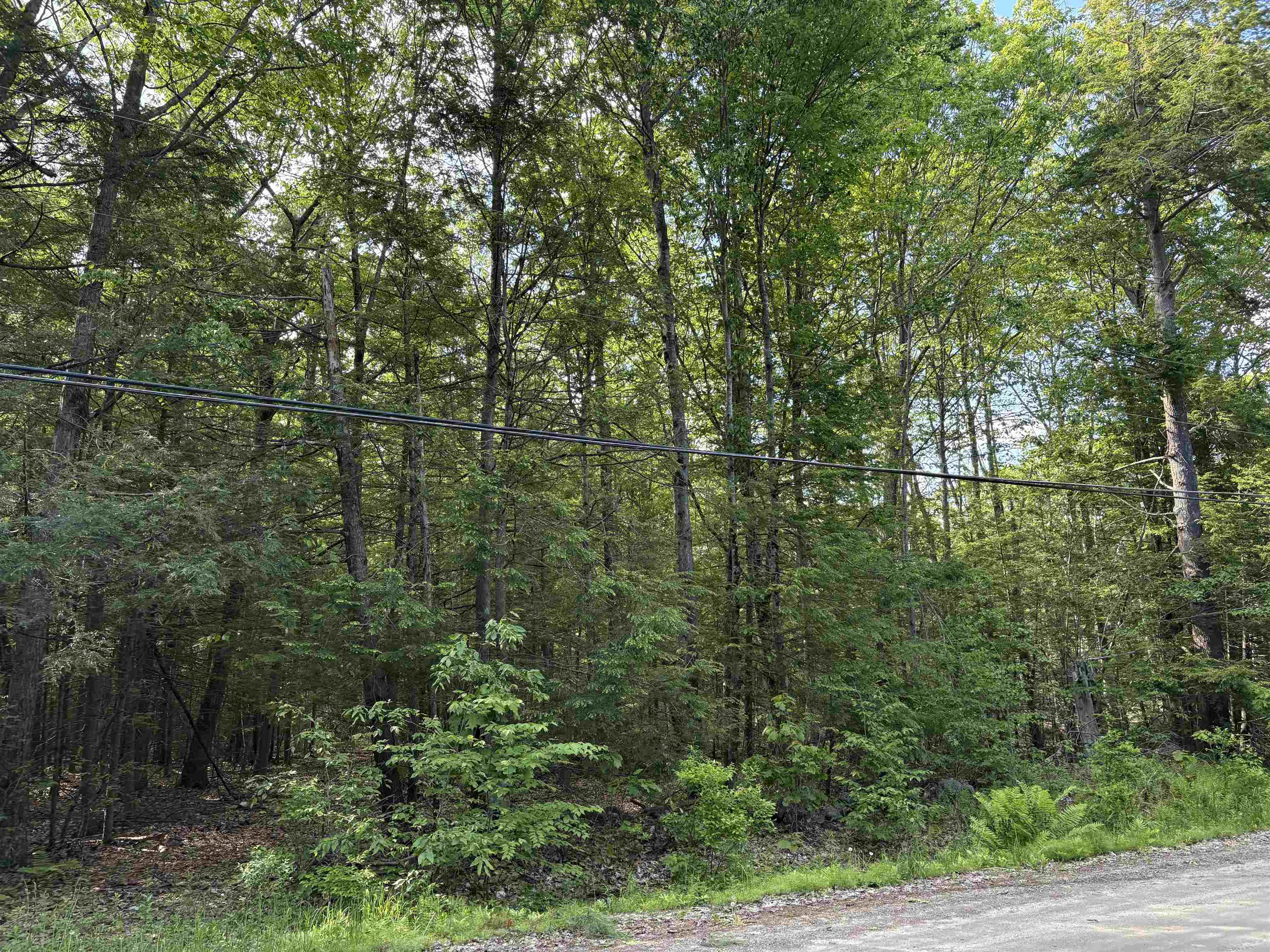 Lot 85 Currier Rd, Candia, NH 03034