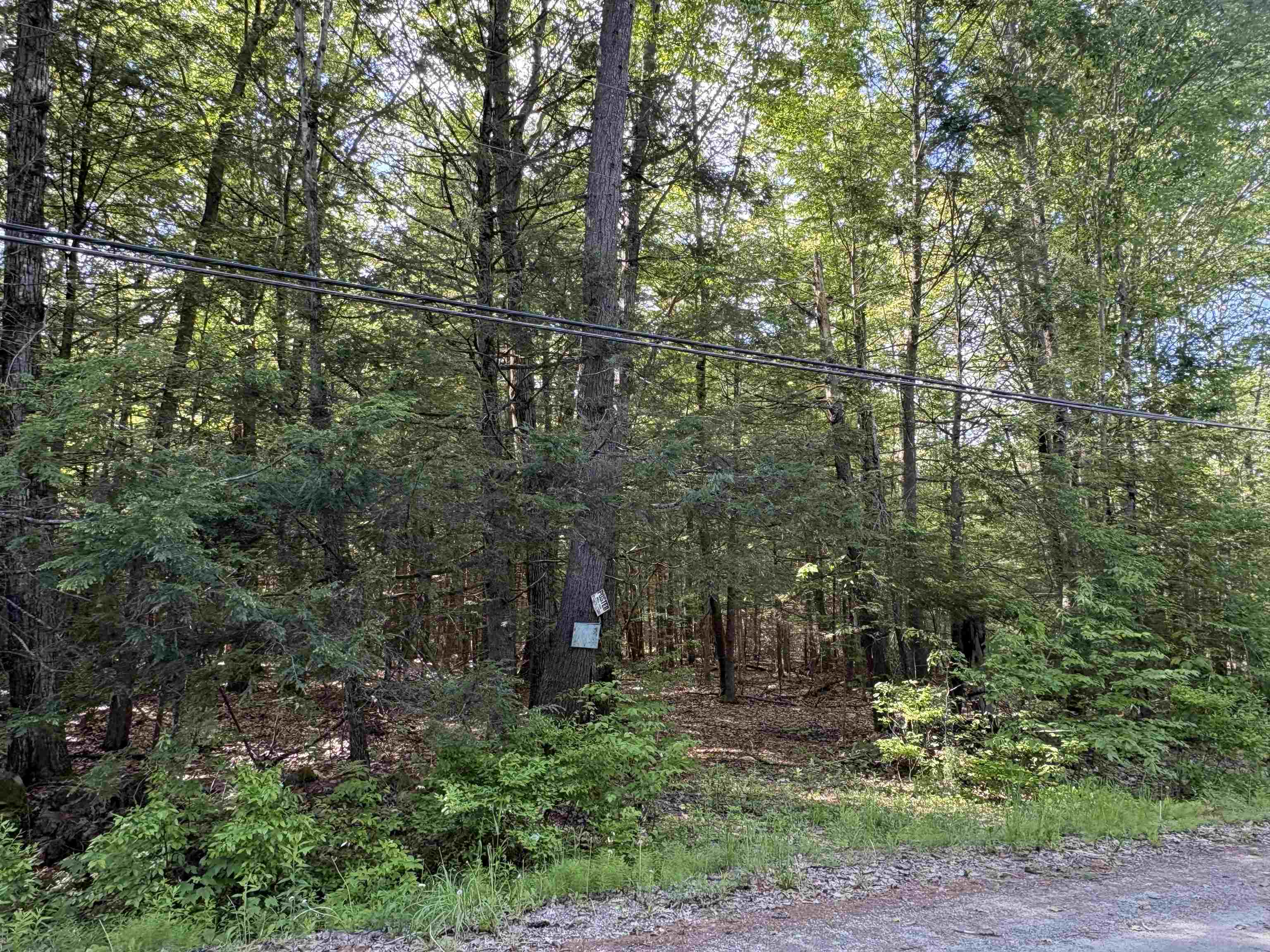 Lot 85 Currier Rd, Candia, NH 03034