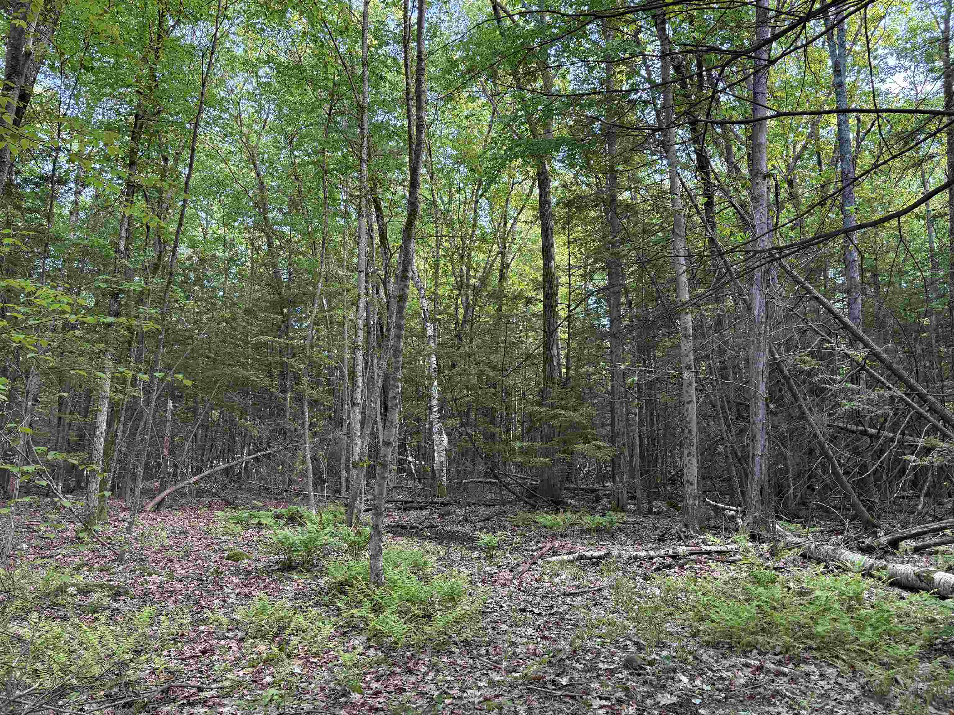 Lot 85 Currier Rd, Candia, NH 03034