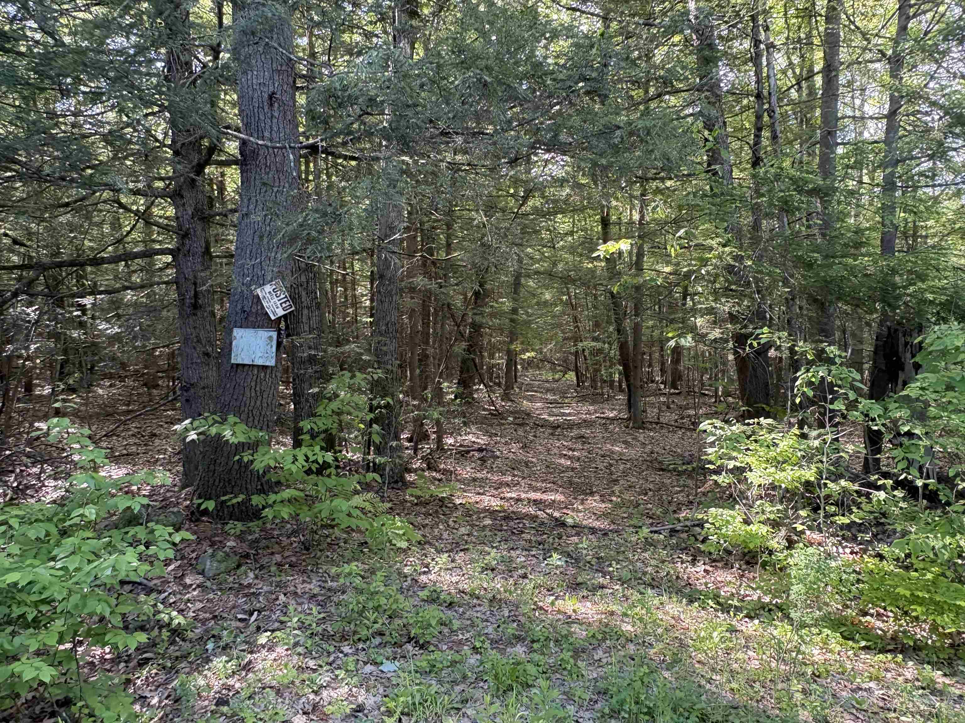 Lot 85 Currier Rd, Candia, NH 03034