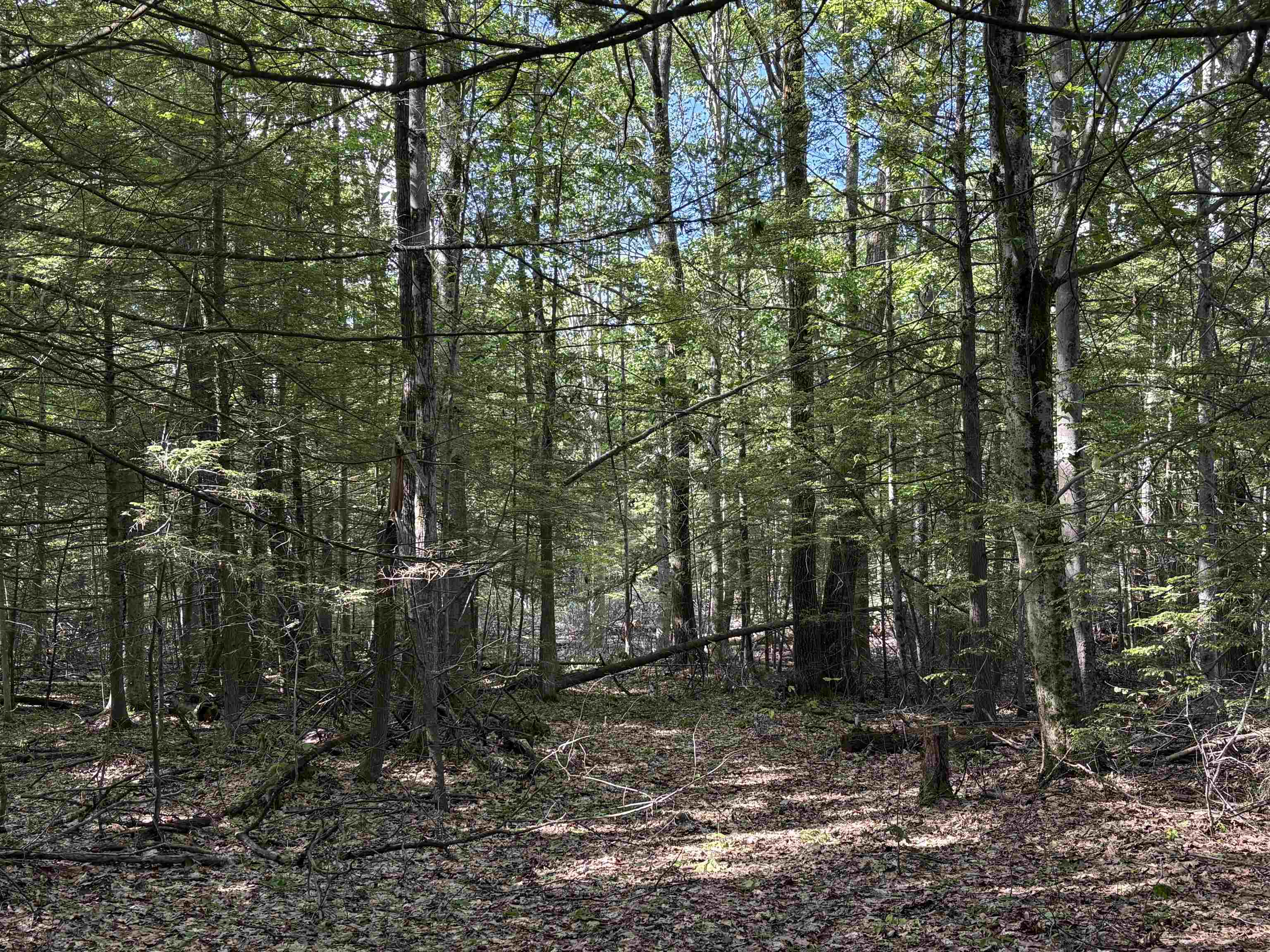 Lot 85 Currier Rd, Candia, NH 03034