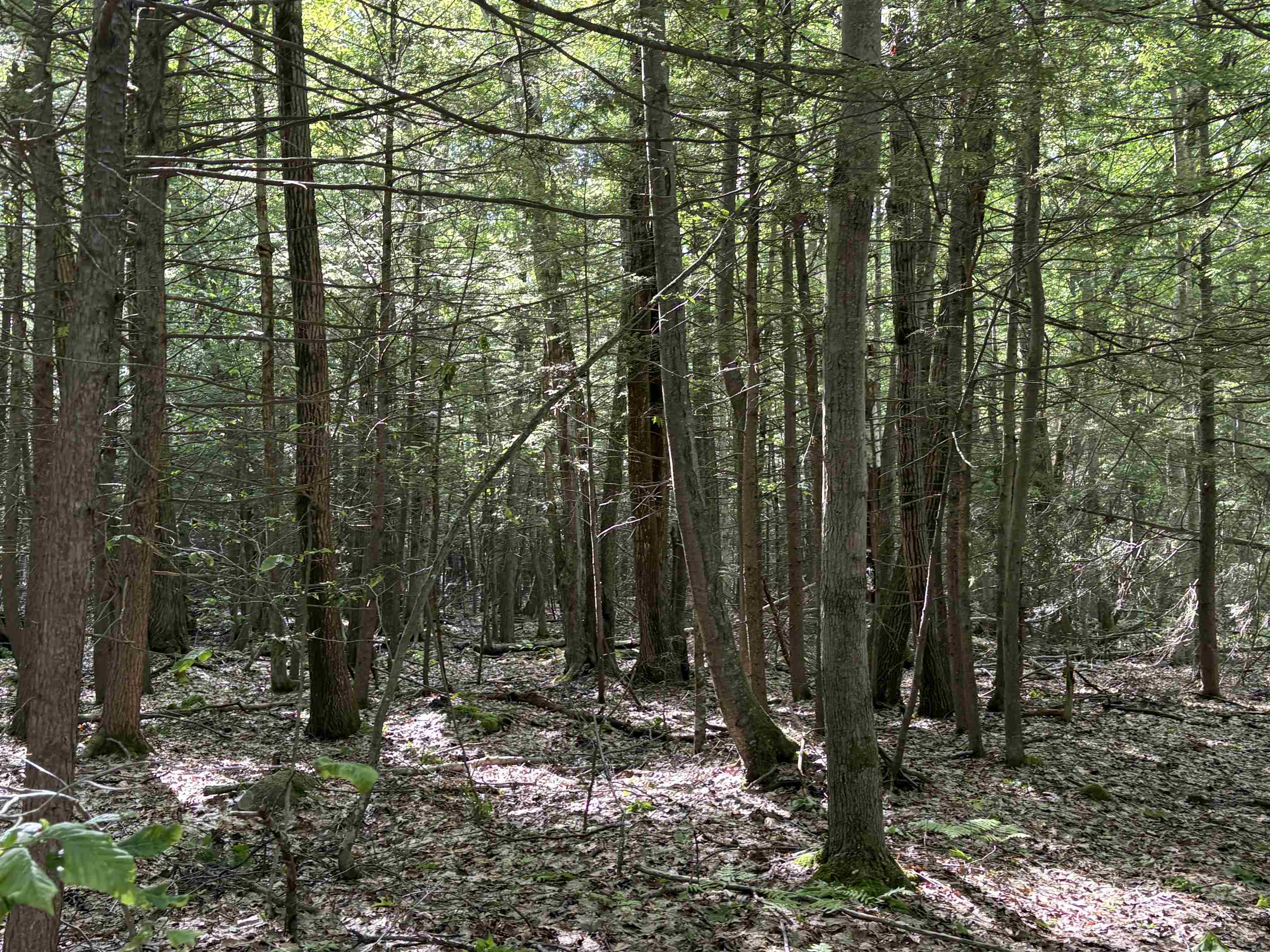 Lot 85 Currier Rd, Candia, NH 03034