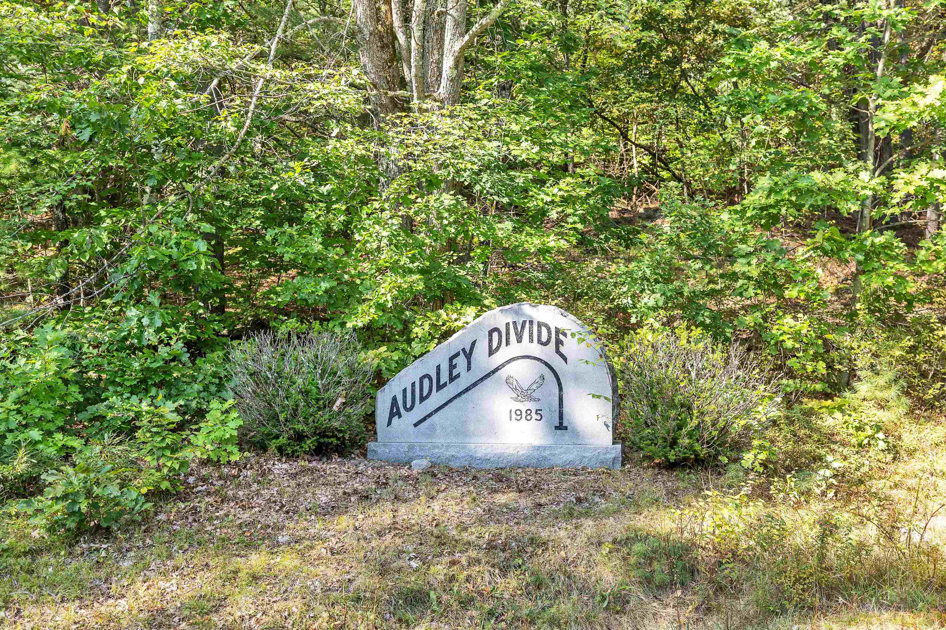 9 Audley Divide, Bow, NH 03304