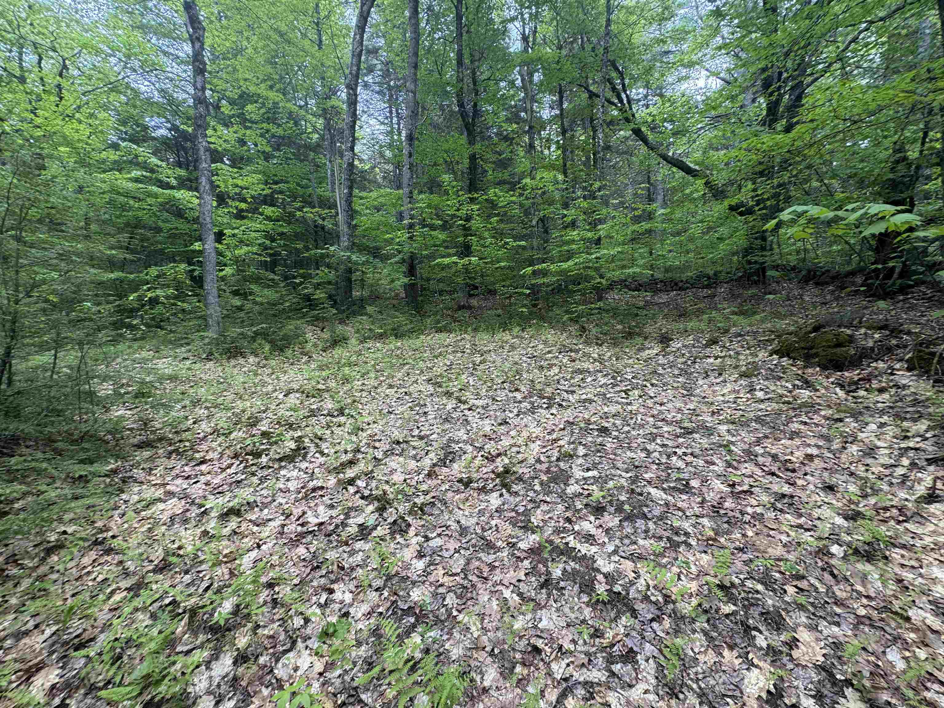 Lot 13 Beach Pond Rd, Wolfeboro, NH 03894