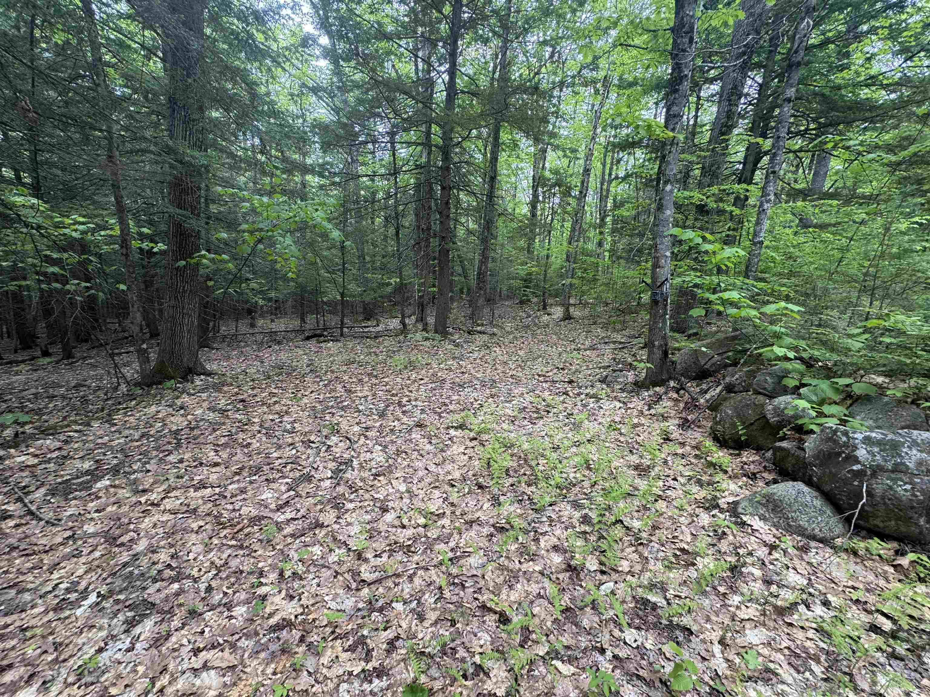 Lot 13 Beach Pond Rd, Wolfeboro, NH 03894