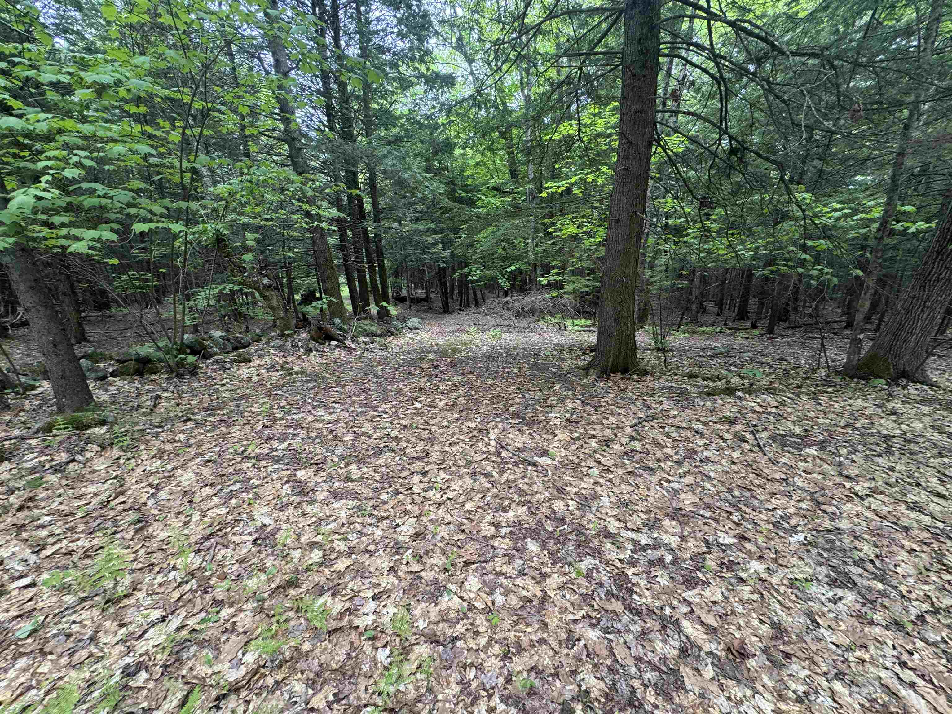 Lot 13 Beach Pond Rd, Wolfeboro, NH 03894