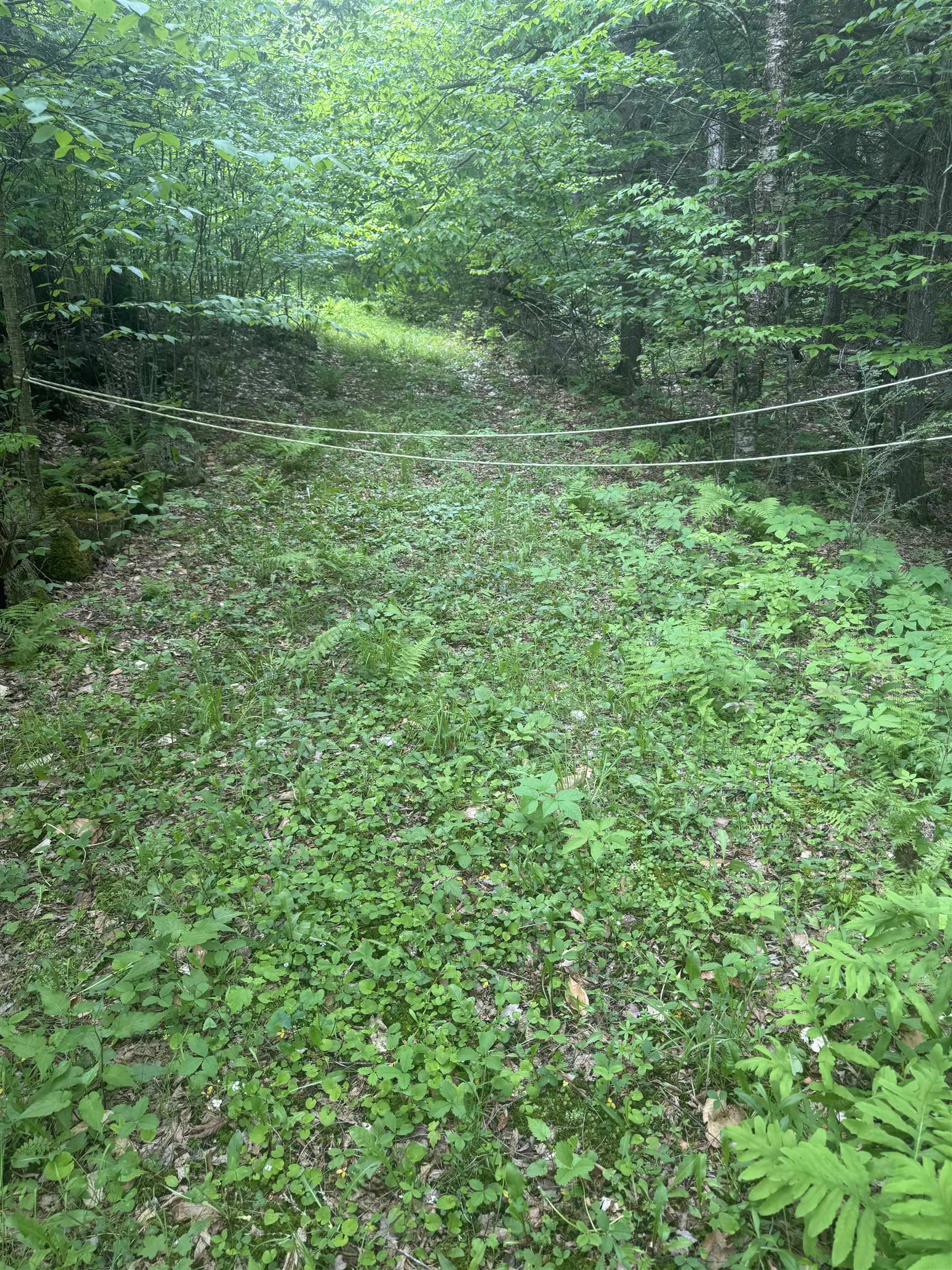 Lot 13 Beach Pond Rd, Wolfeboro, NH 03894