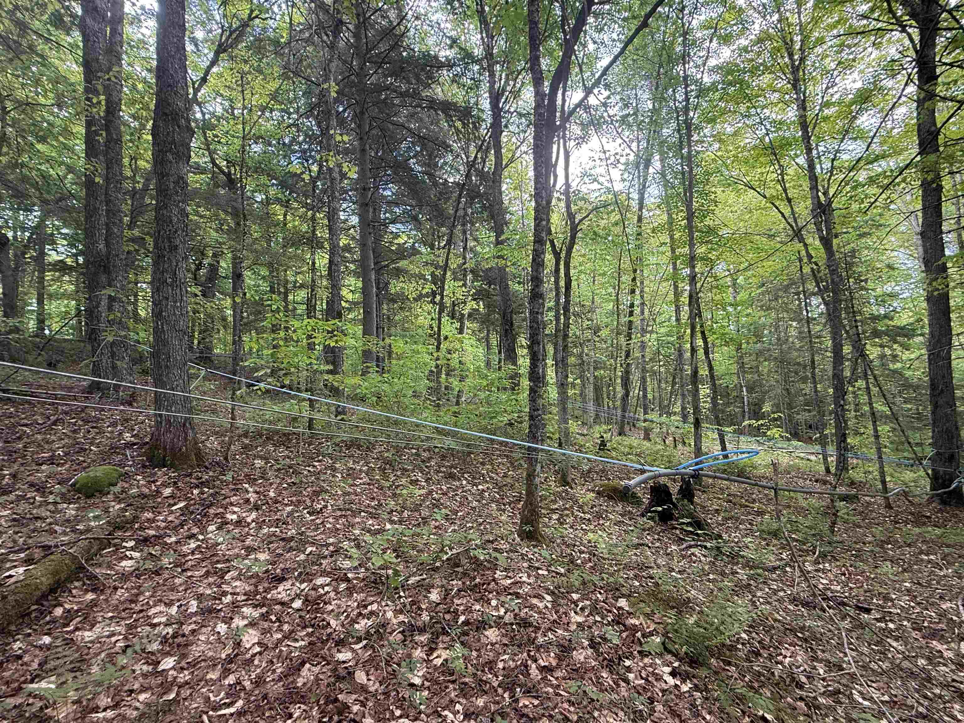 Newbury VT&nbsp;Land for sale $$99,000 | 17.9 Acres  | Price Per Acre $0 