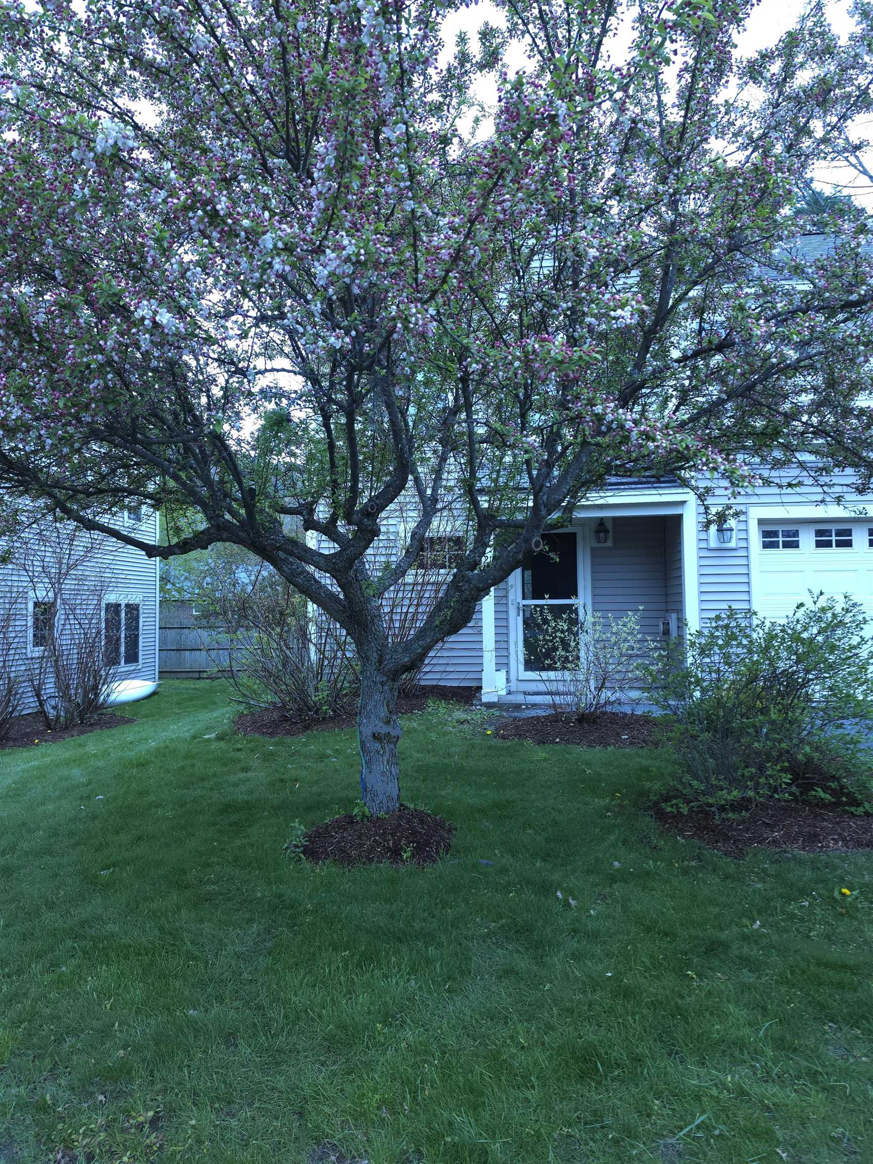 299 Mount Support Rd, Lebanon, NH 03766