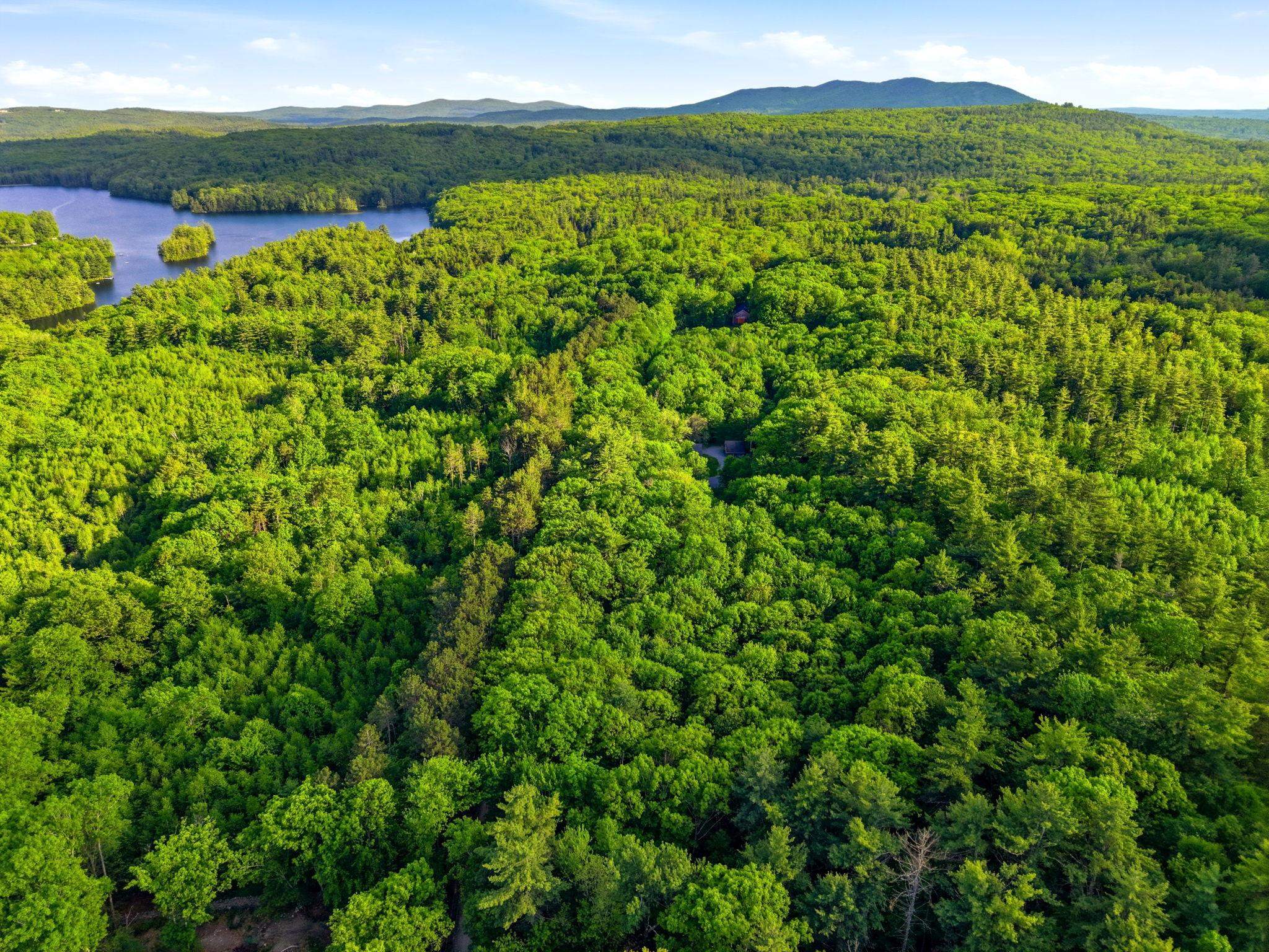 91 Wolf Hill Rd, Deering, NH 03242