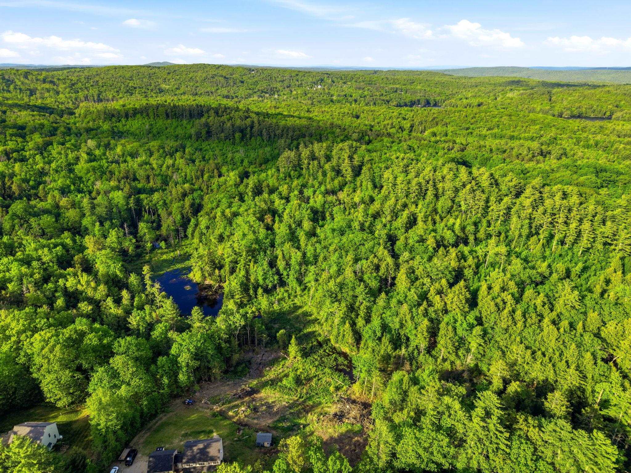 91 Wolf Hill Rd, Deering, NH 03242