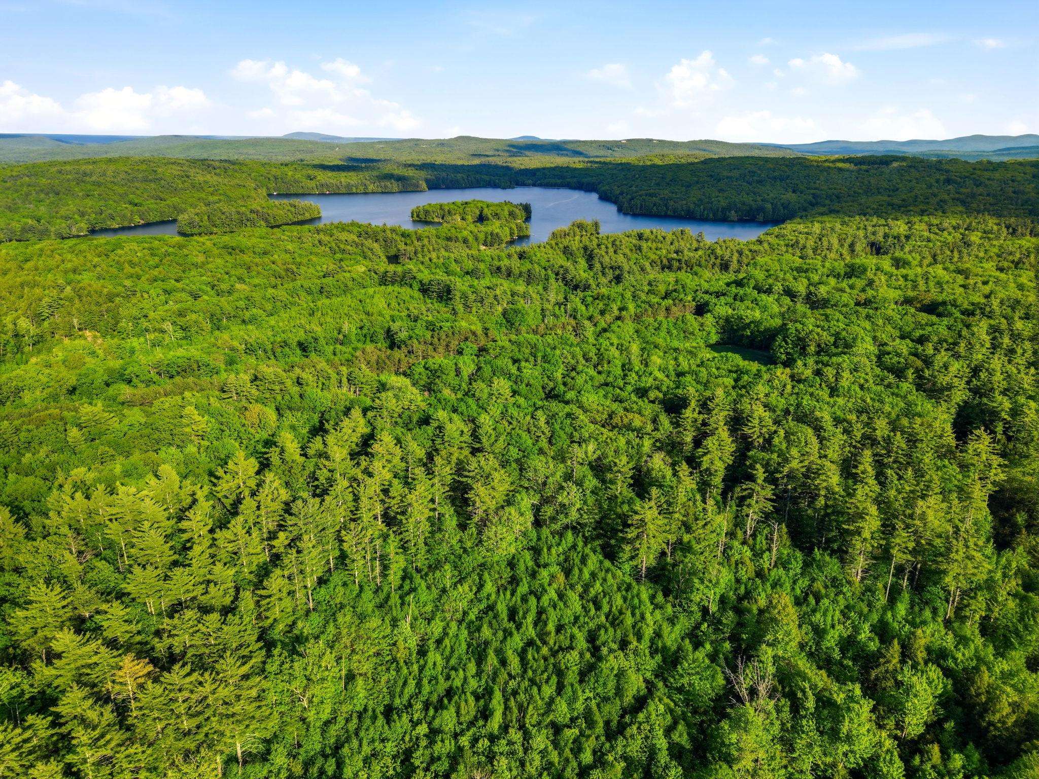 91 Wolf Hill Rd, Deering, NH 03242