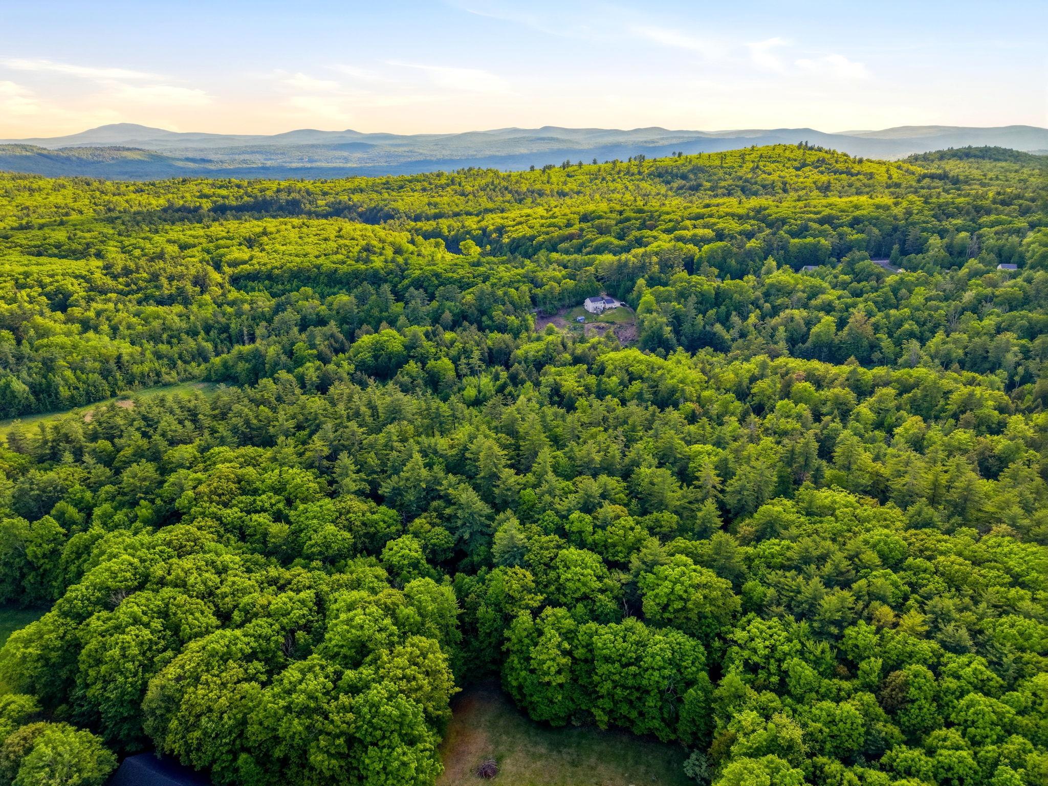 91 Wolf Hill Rd, Deering, NH 03242