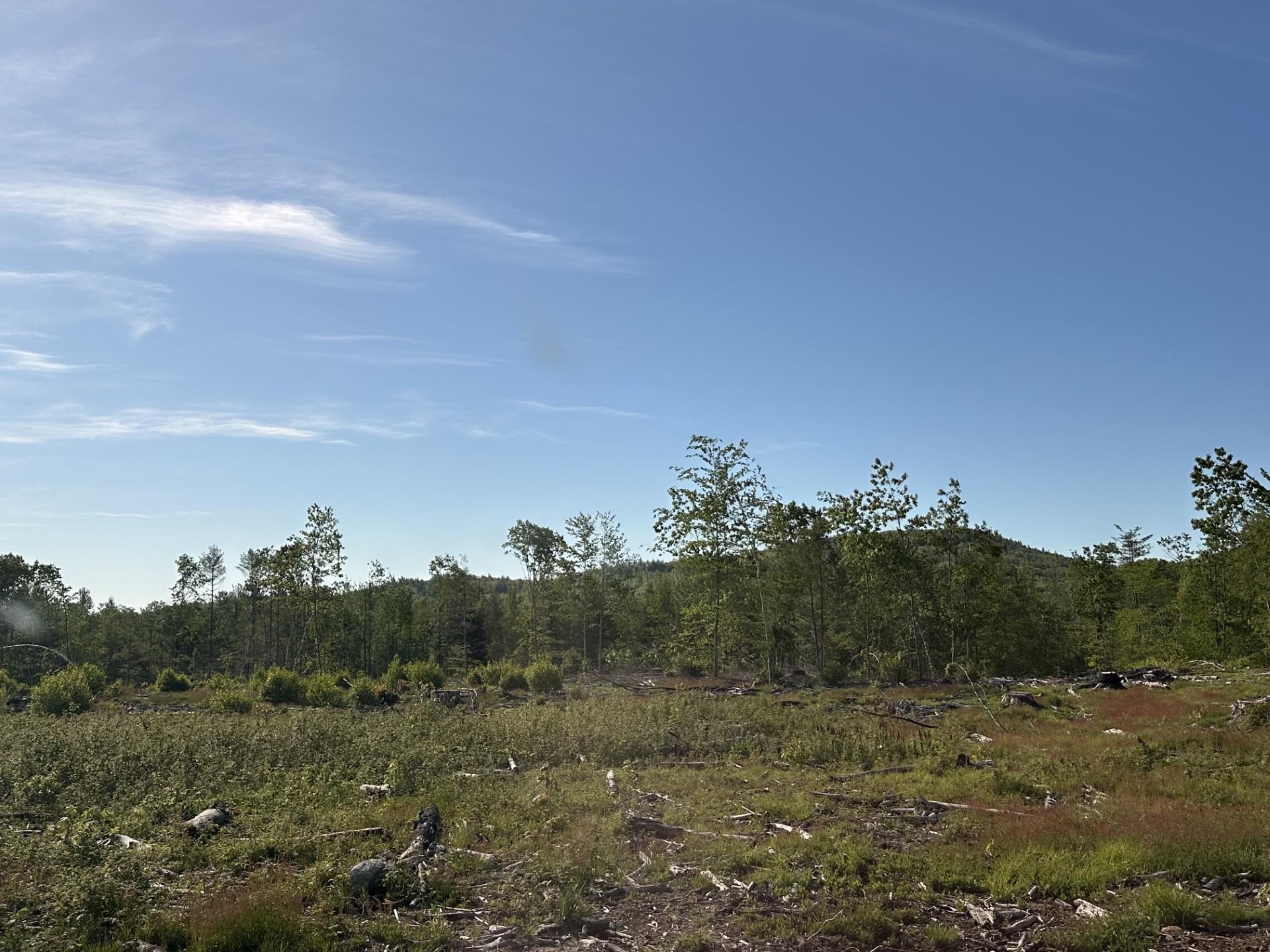 00 Thurley Rd, Ossipee, NH 03814