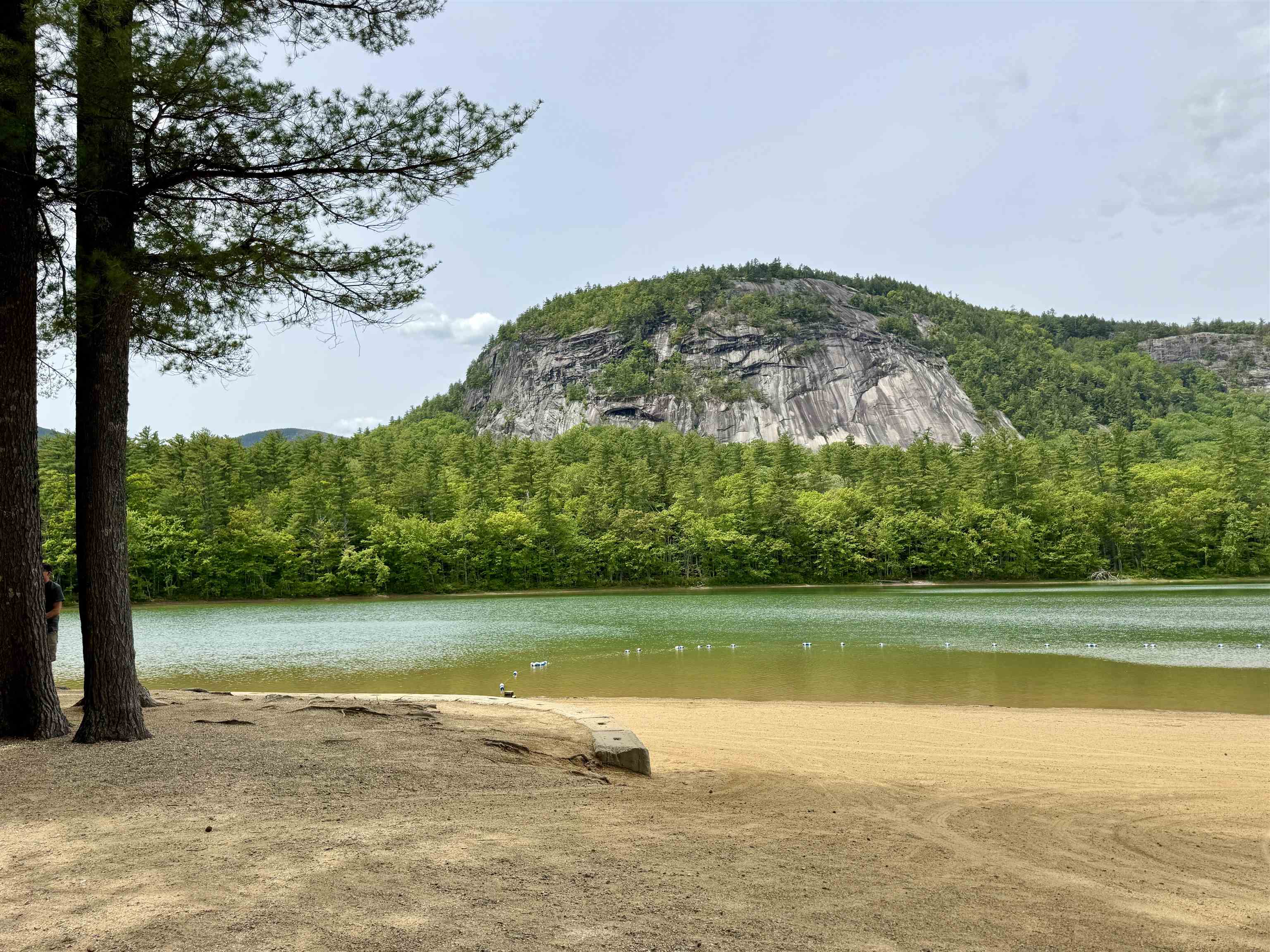 24 West Side Woods Rd, Bartlett, NH 03812