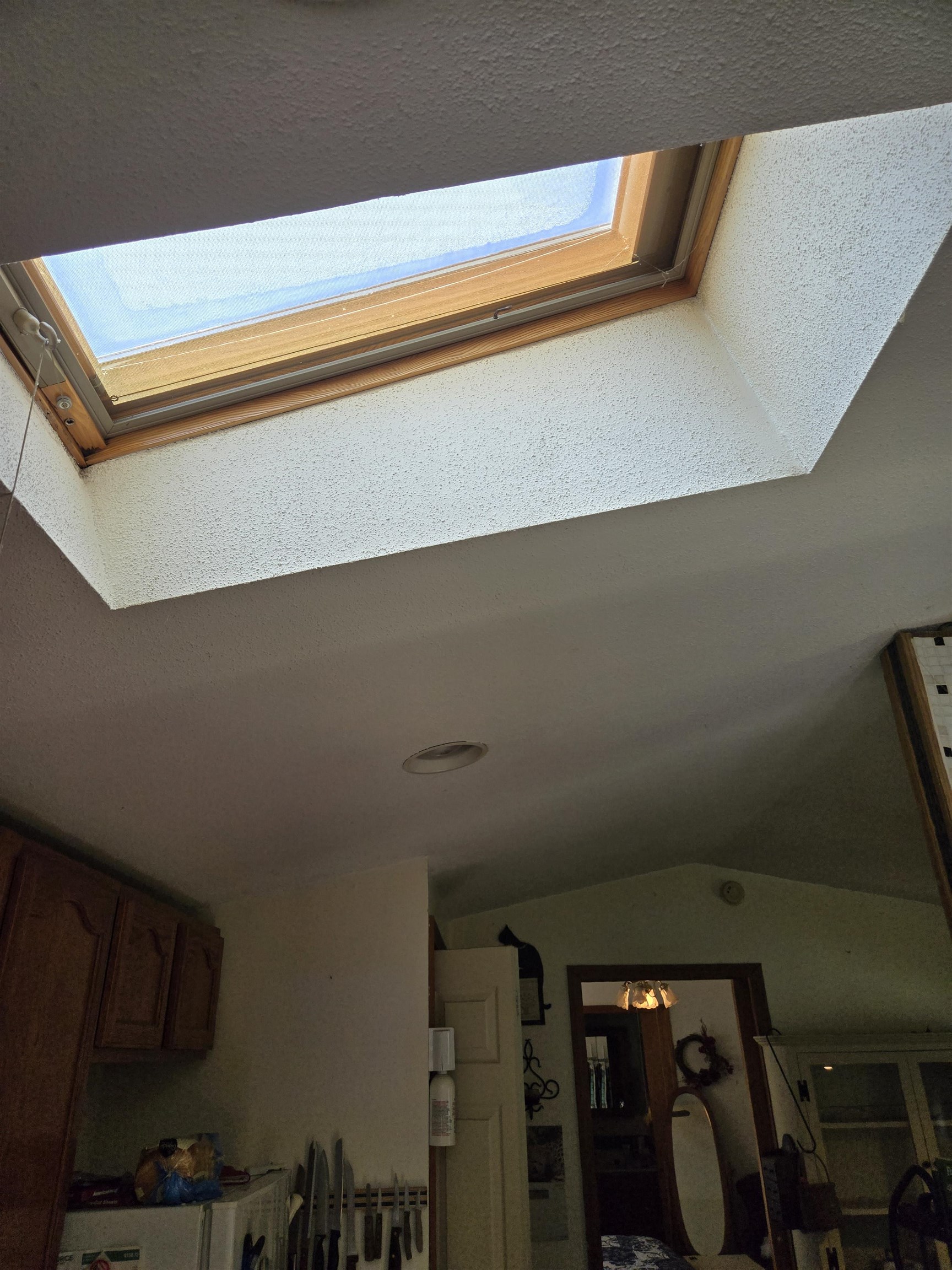 Skylight in Kitchen 25438957