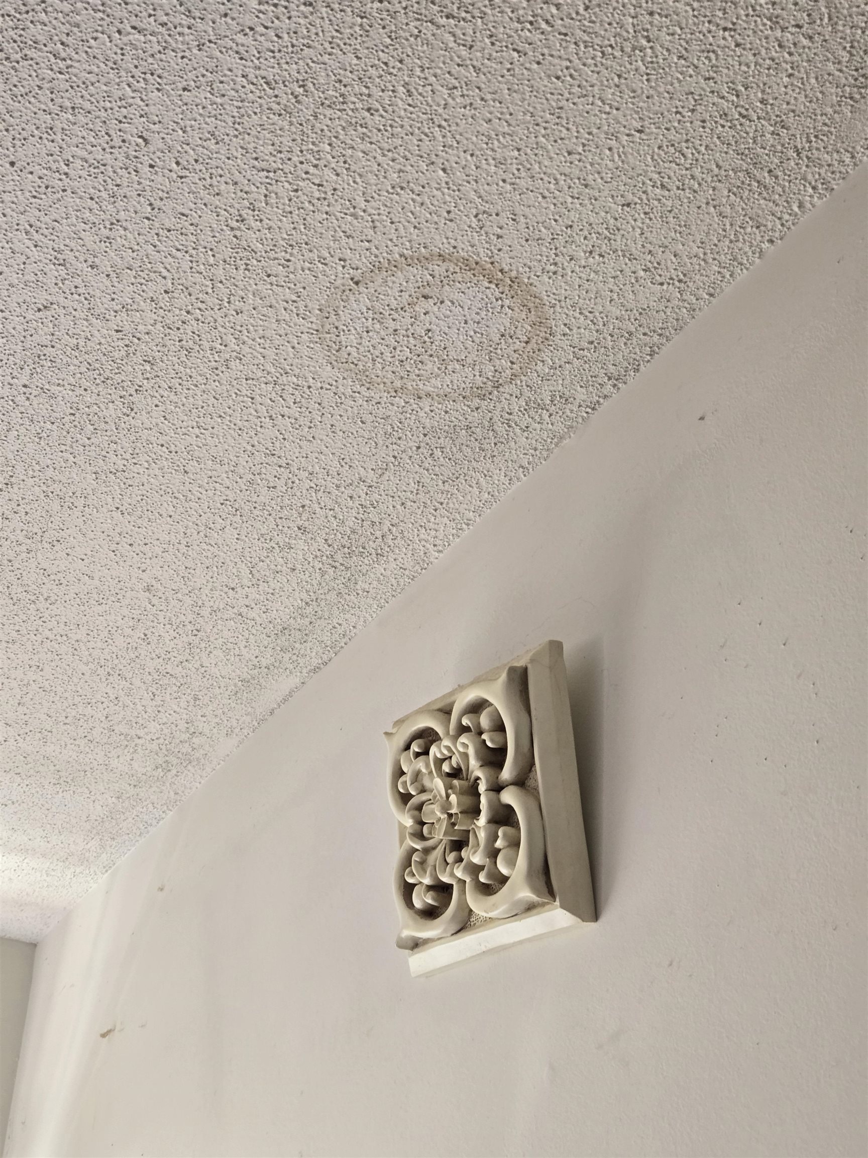 Primary Bedroom - Ceiling stain 25438929