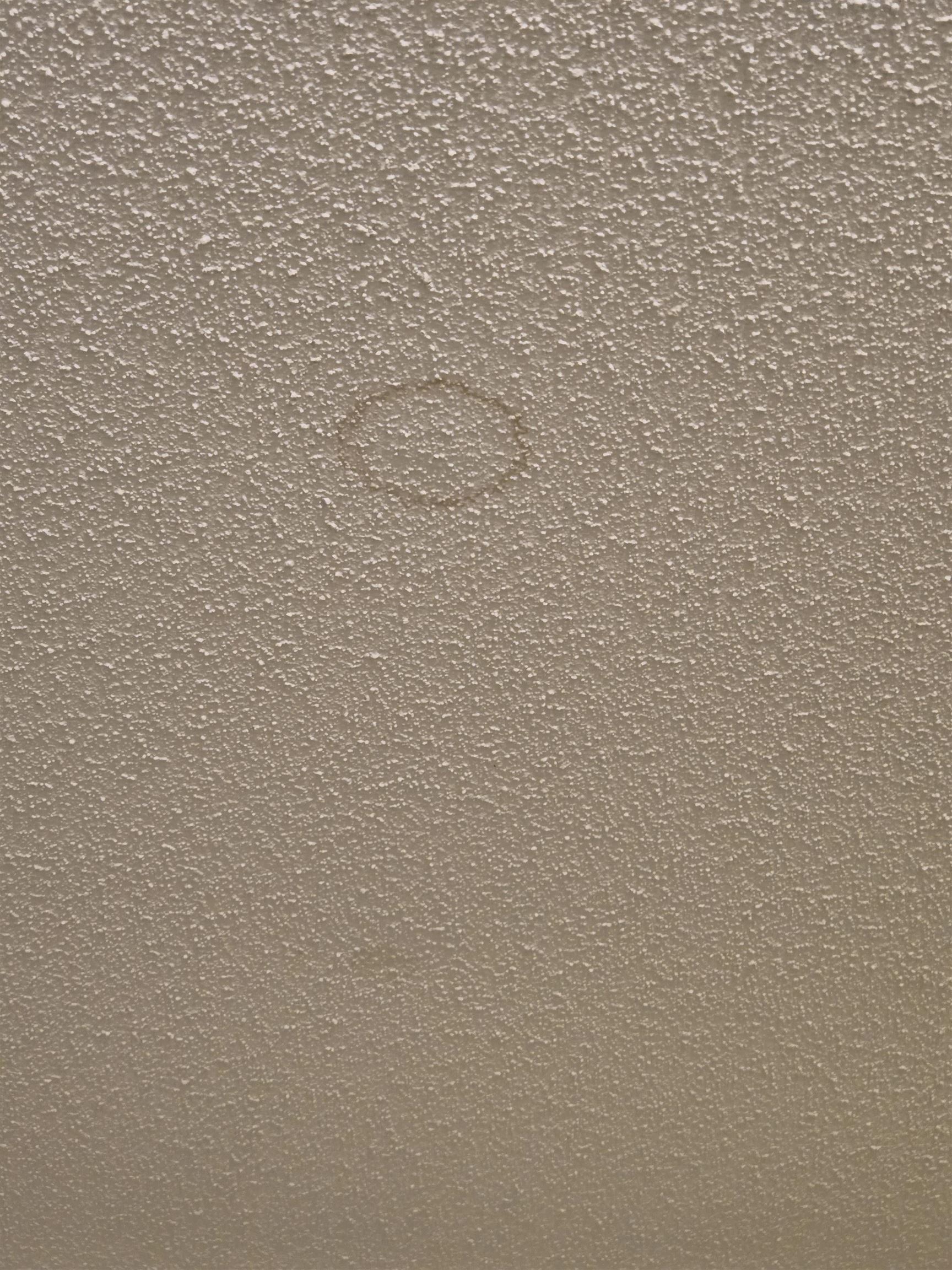 Primary Bathroom - Ceiling Stain 25438975