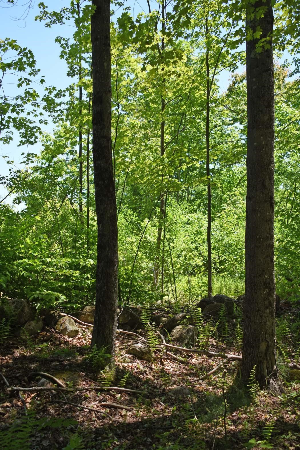 401 Sixth Range Rd, Pembroke, NH 03275