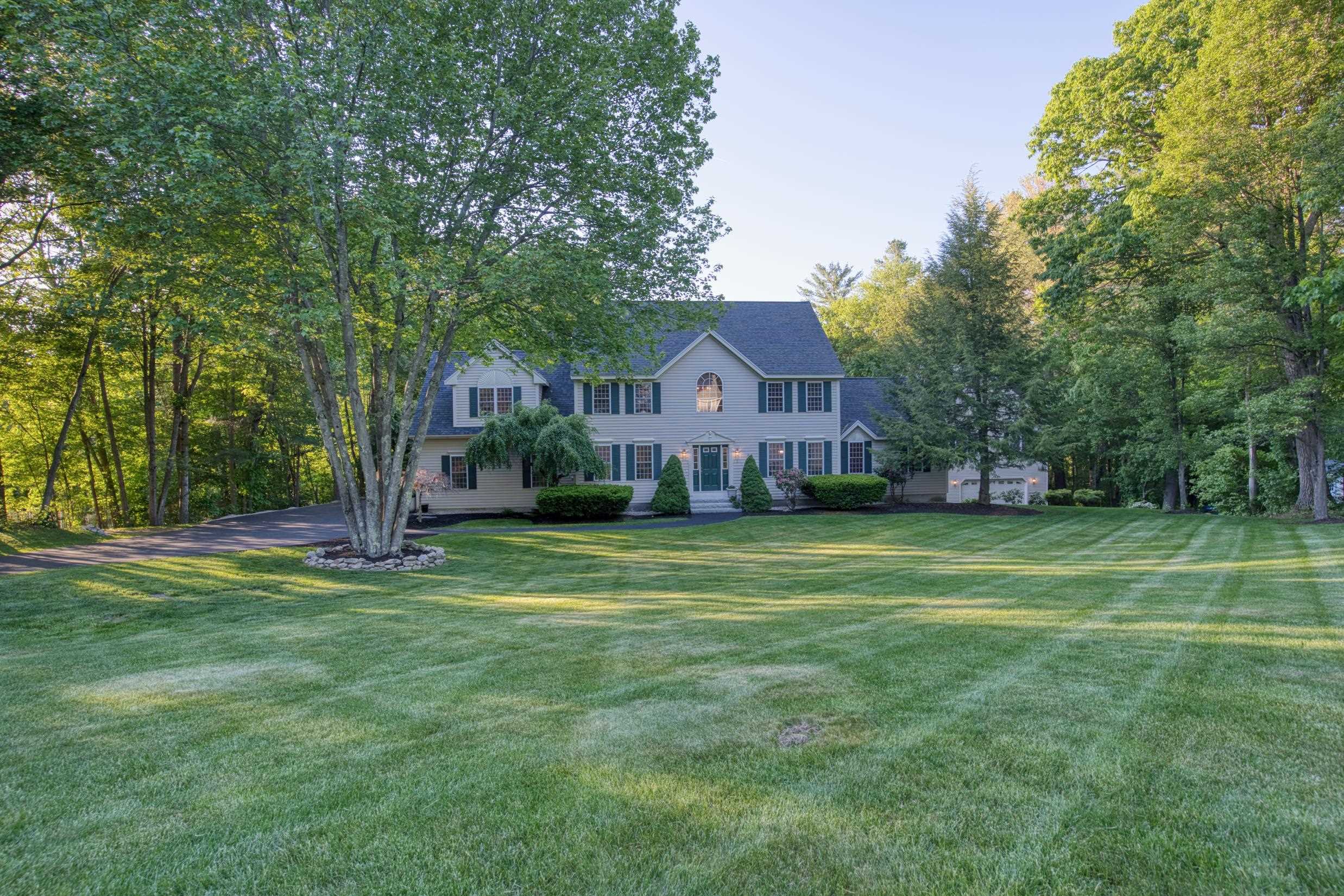 Mature Landscaping