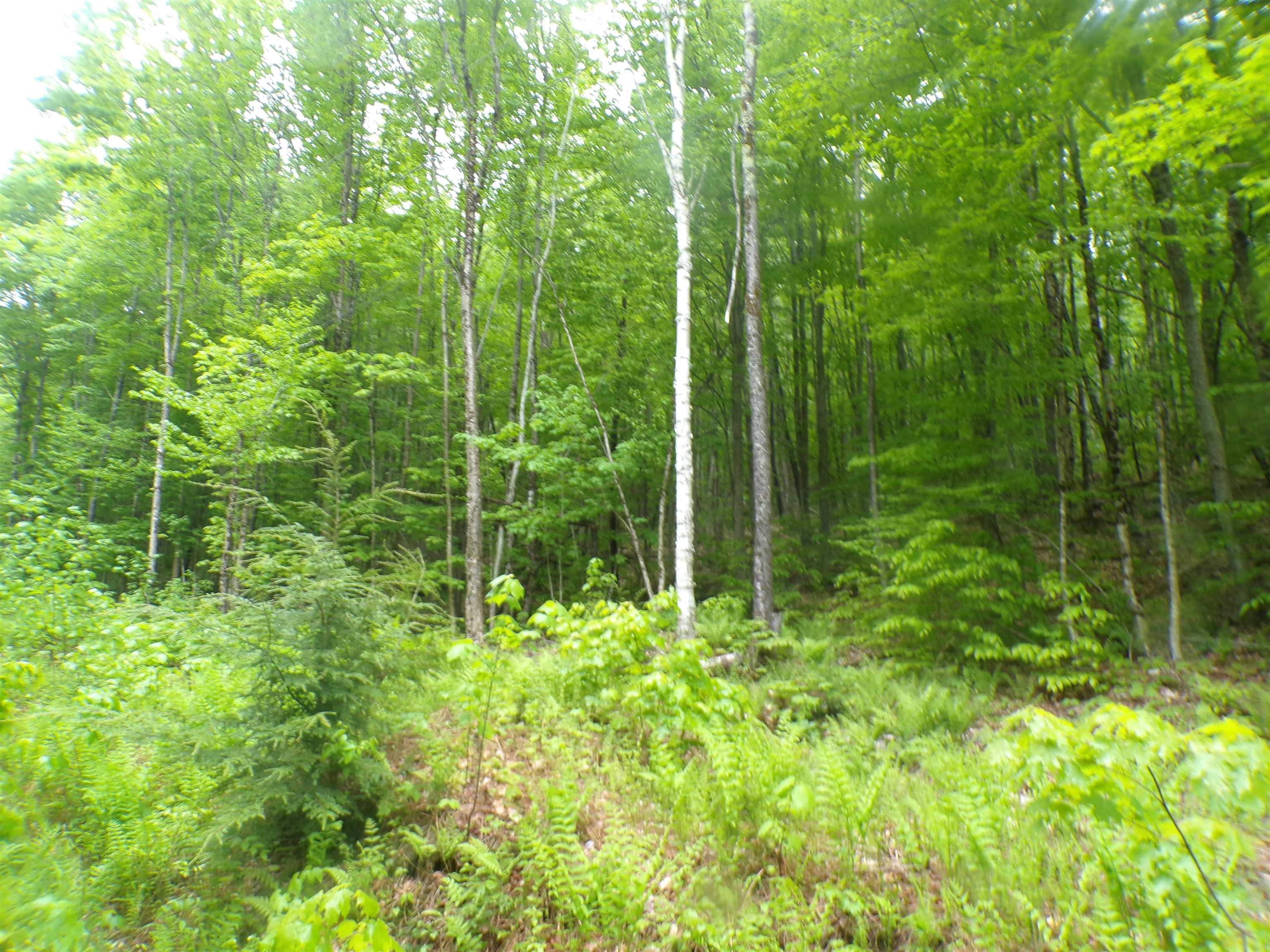 0 Foliage Lane Unit: 1